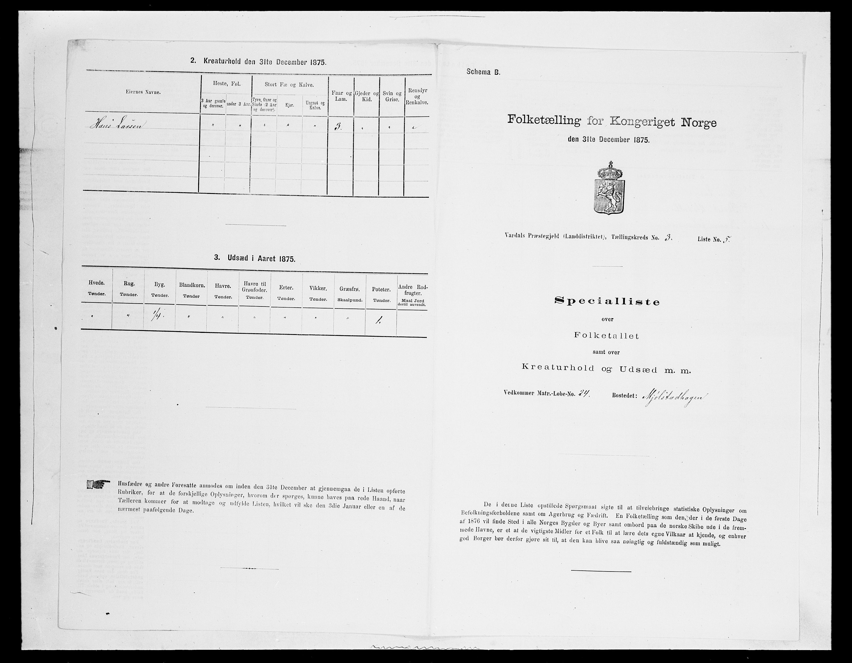 SAH, Folketelling 1875 for 0527L Vardal prestegjeld, Vardal sokn og Hunn sokn, 1875, s. 349