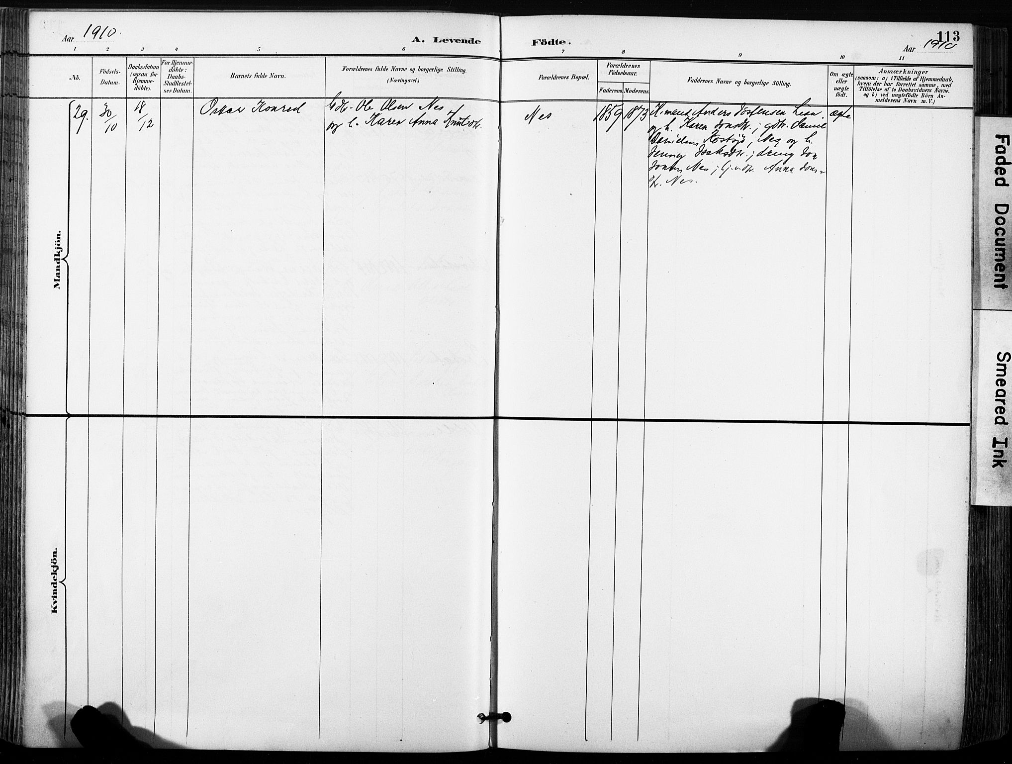 Ministerialprotokoller, klokkerbøker og fødselsregistre - Sør-Trøndelag, SAT/A-1456/630/L0497: Ministerialbok nr. 630A10, 1896-1910, s. 113