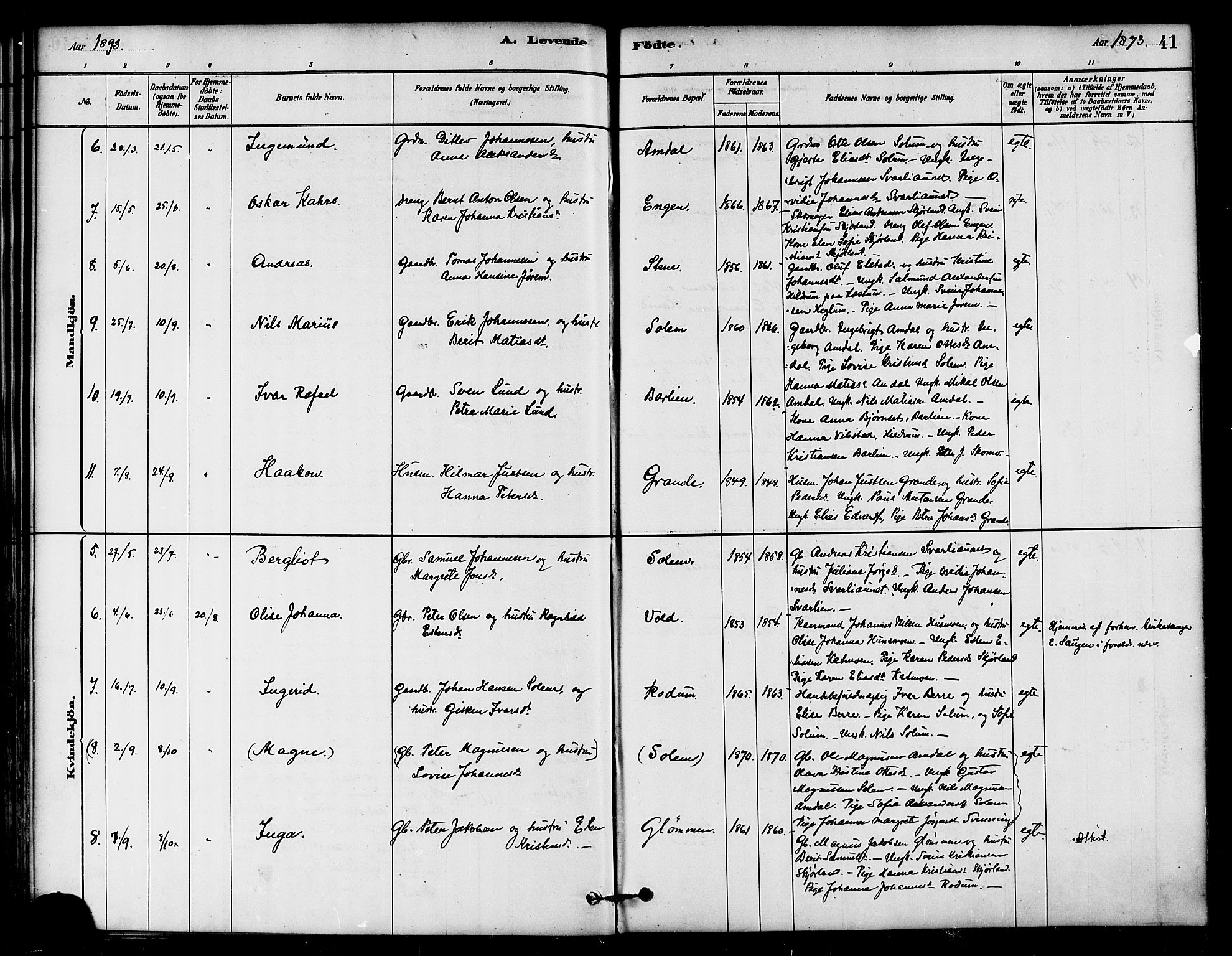 Ministerialprotokoller, klokkerbøker og fødselsregistre - Nord-Trøndelag, AV/SAT-A-1458/764/L0555: Ministerialbok nr. 764A10, 1881-1896, s. 41