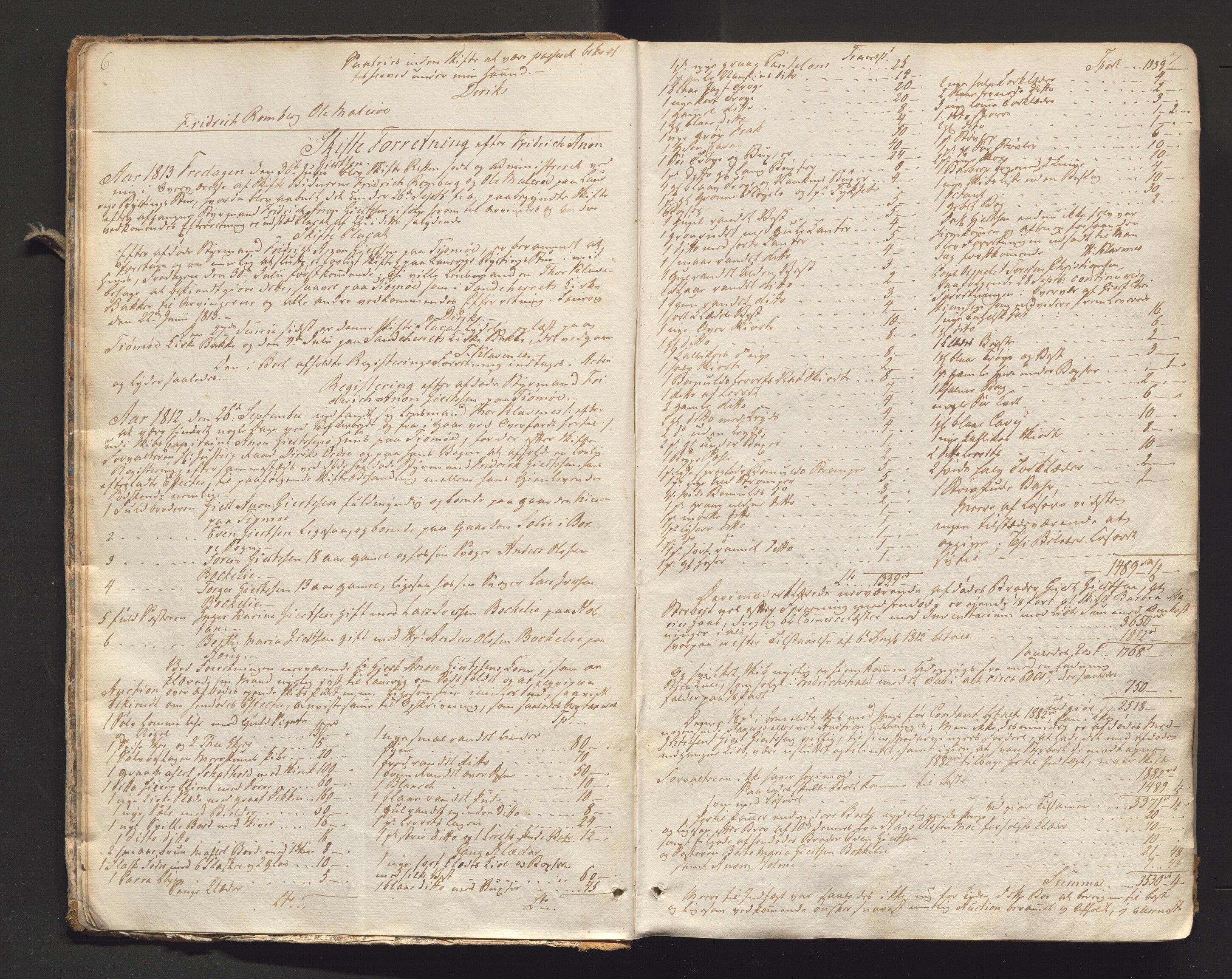 Larvik sorenskriveri, AV/SAKO-A-83/H/Hd/Hda/L0017: Skifteprotokoll, 1813-1816, s. 6-7