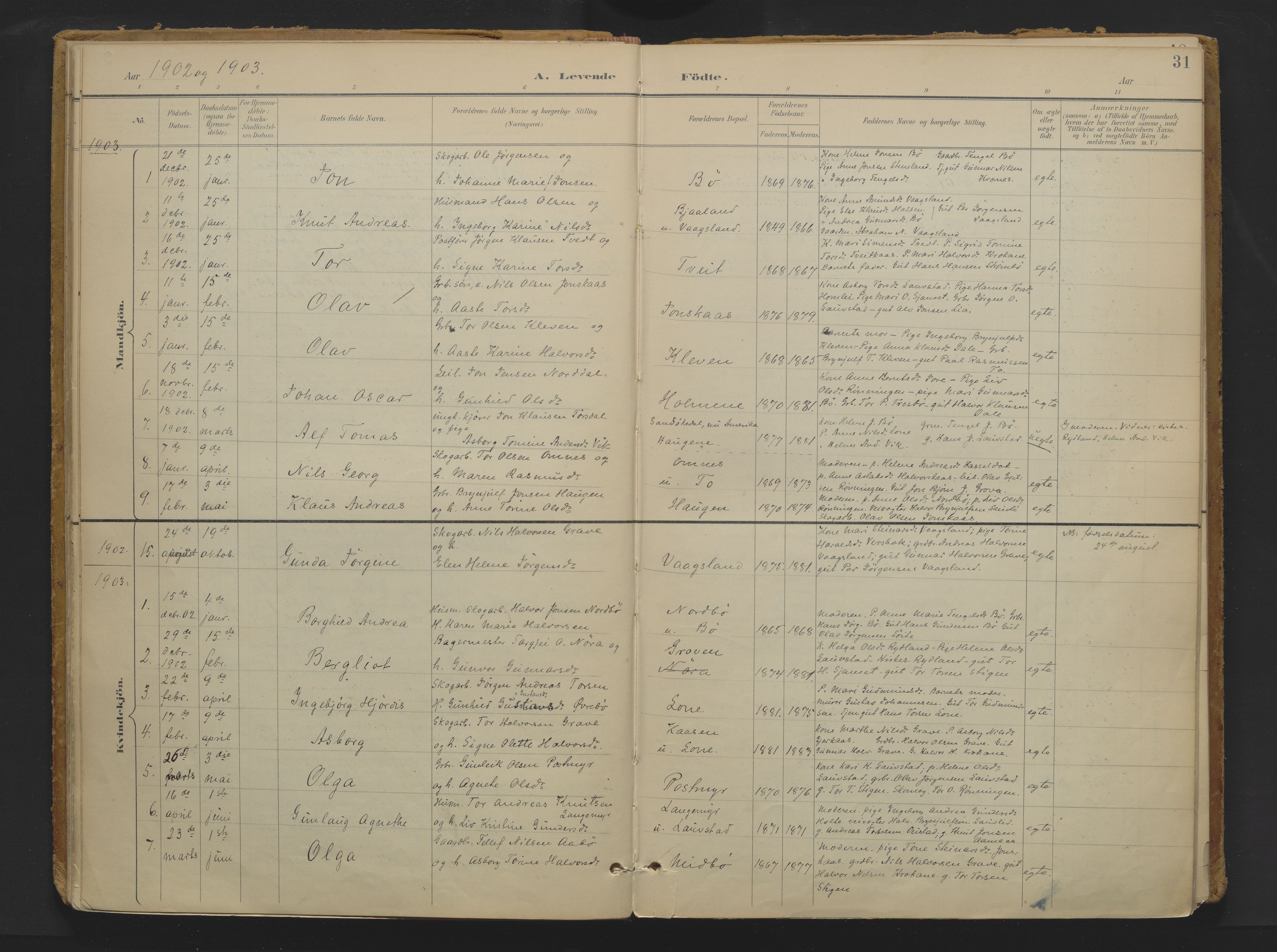 Drangedal kirkebøker, SAKO/A-258/F/Fa/L0013: Ministerialbok nr. 13, 1895-1919, s. 31