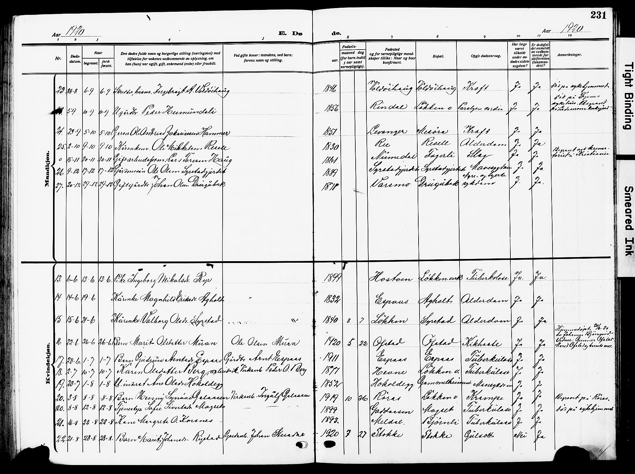 Ministerialprotokoller, klokkerbøker og fødselsregistre - Sør-Trøndelag, SAT/A-1456/672/L0865: Klokkerbok nr. 672C04, 1914-1928, s. 231