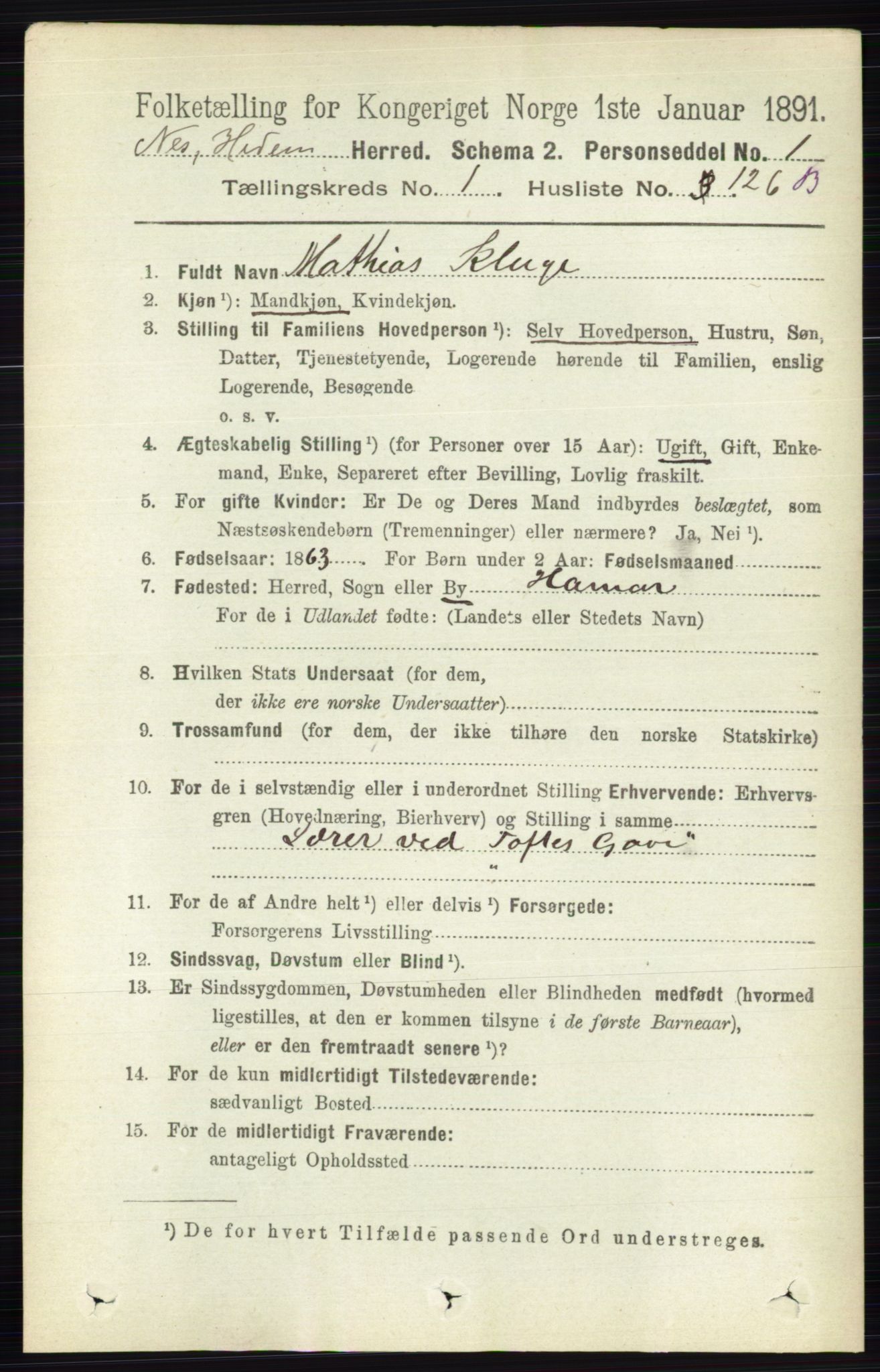 RA, Folketelling 1891 for 0411 Nes herred, 1891, s. 908