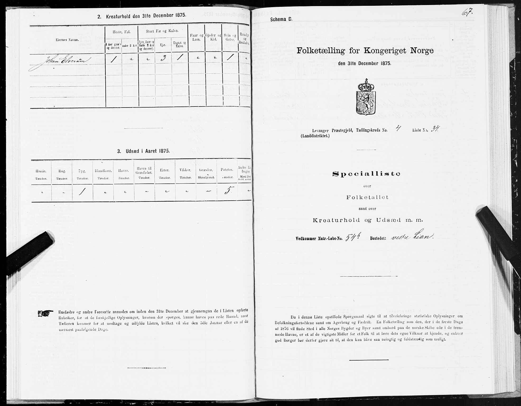 SAT, Folketelling 1875 for 1720L Levanger prestegjeld, Levanger landsokn, 1875, s. 3067