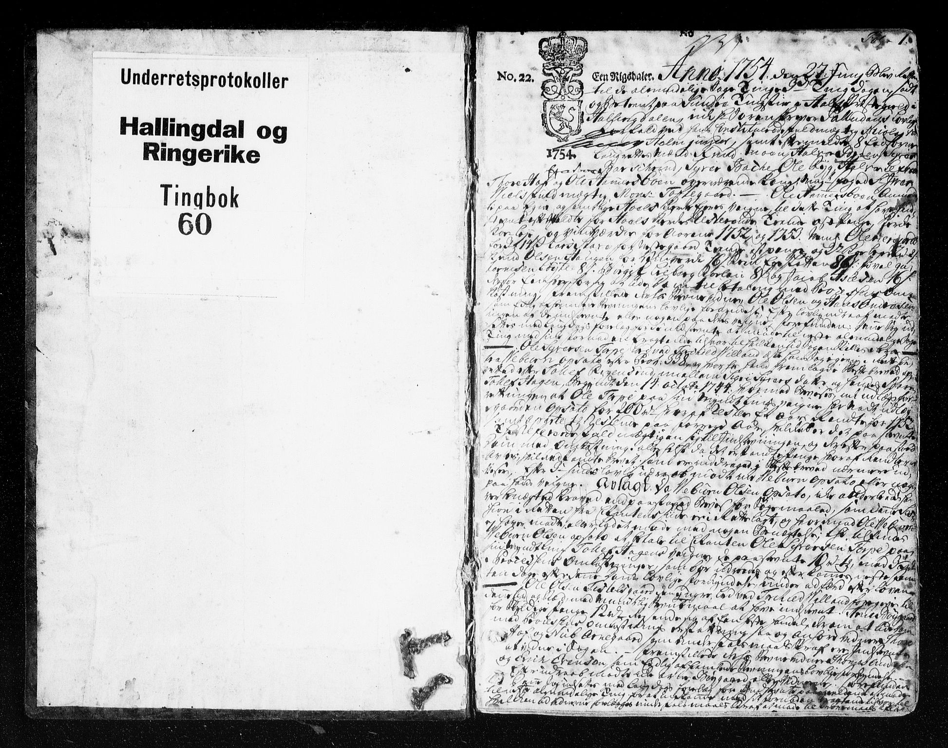 Ringerike og Hallingdal sorenskriveri, SAKO/A-81/F/Fa/Fad/L0004: Tingbok - Hallingdal, 1754-1756, s. 1