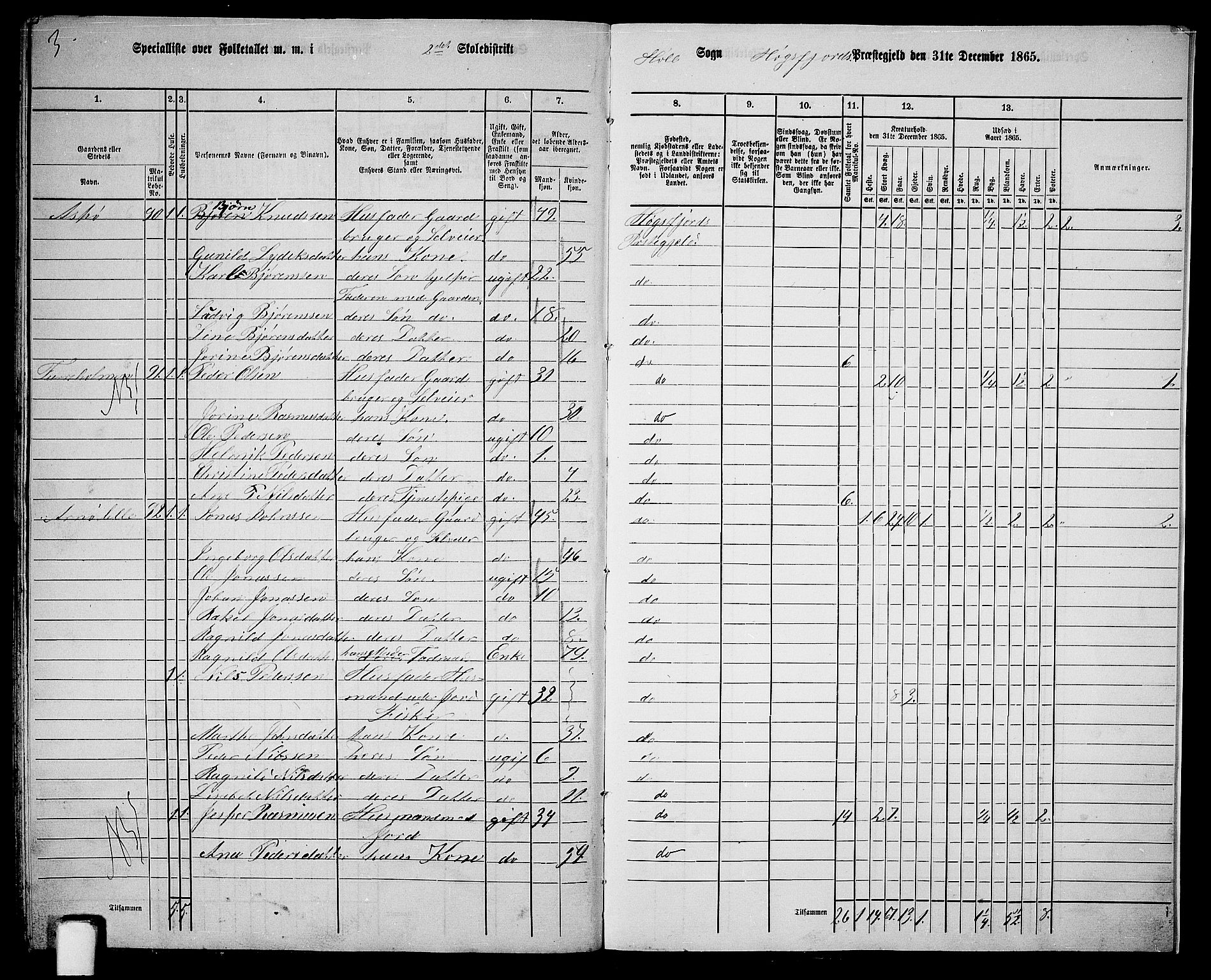 RA, Folketelling 1865 for 1128P Høgsfjord prestegjeld, 1865, s. 145