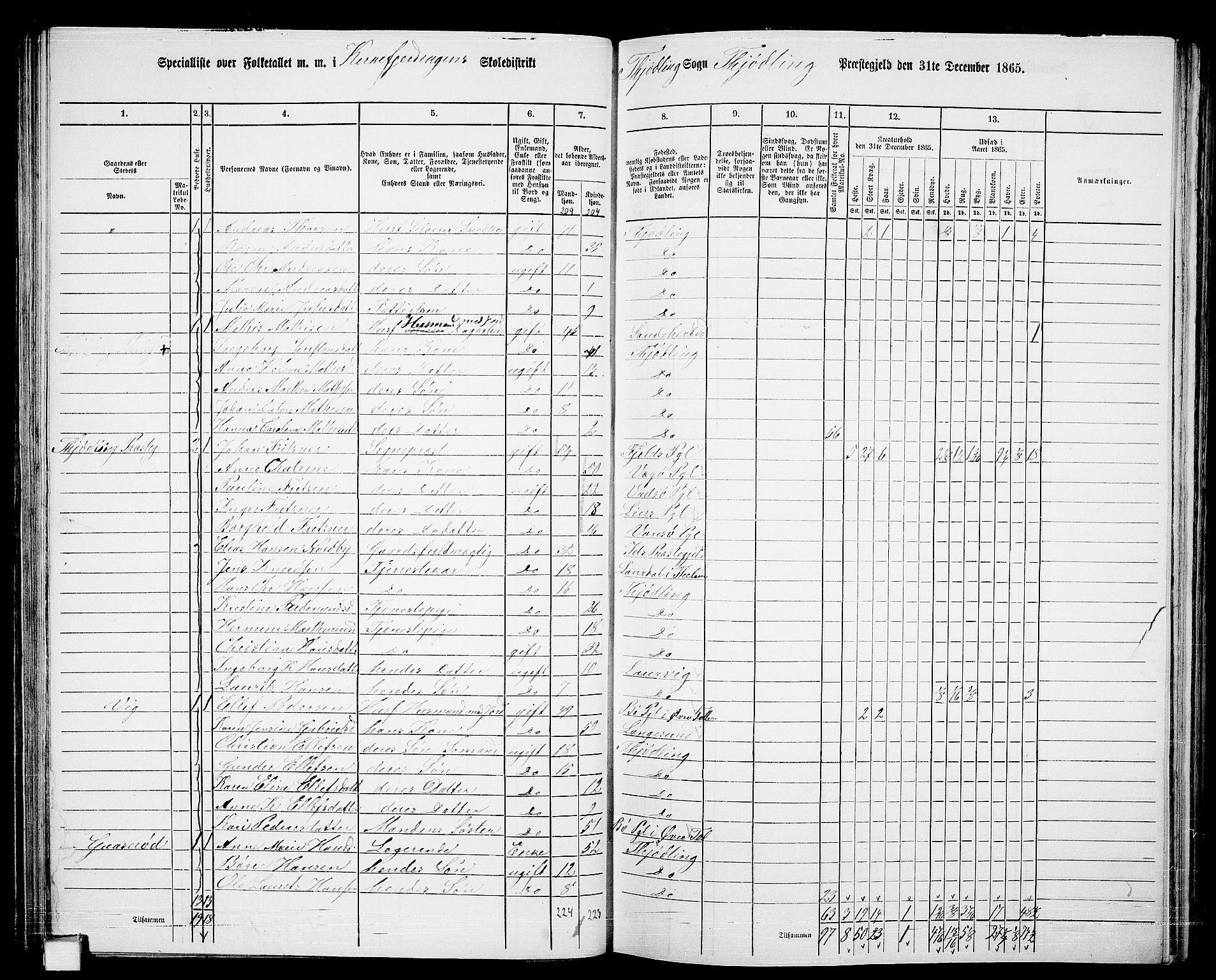 RA, Folketelling 1865 for 0725P Tjølling prestegjeld, 1865, s. 70