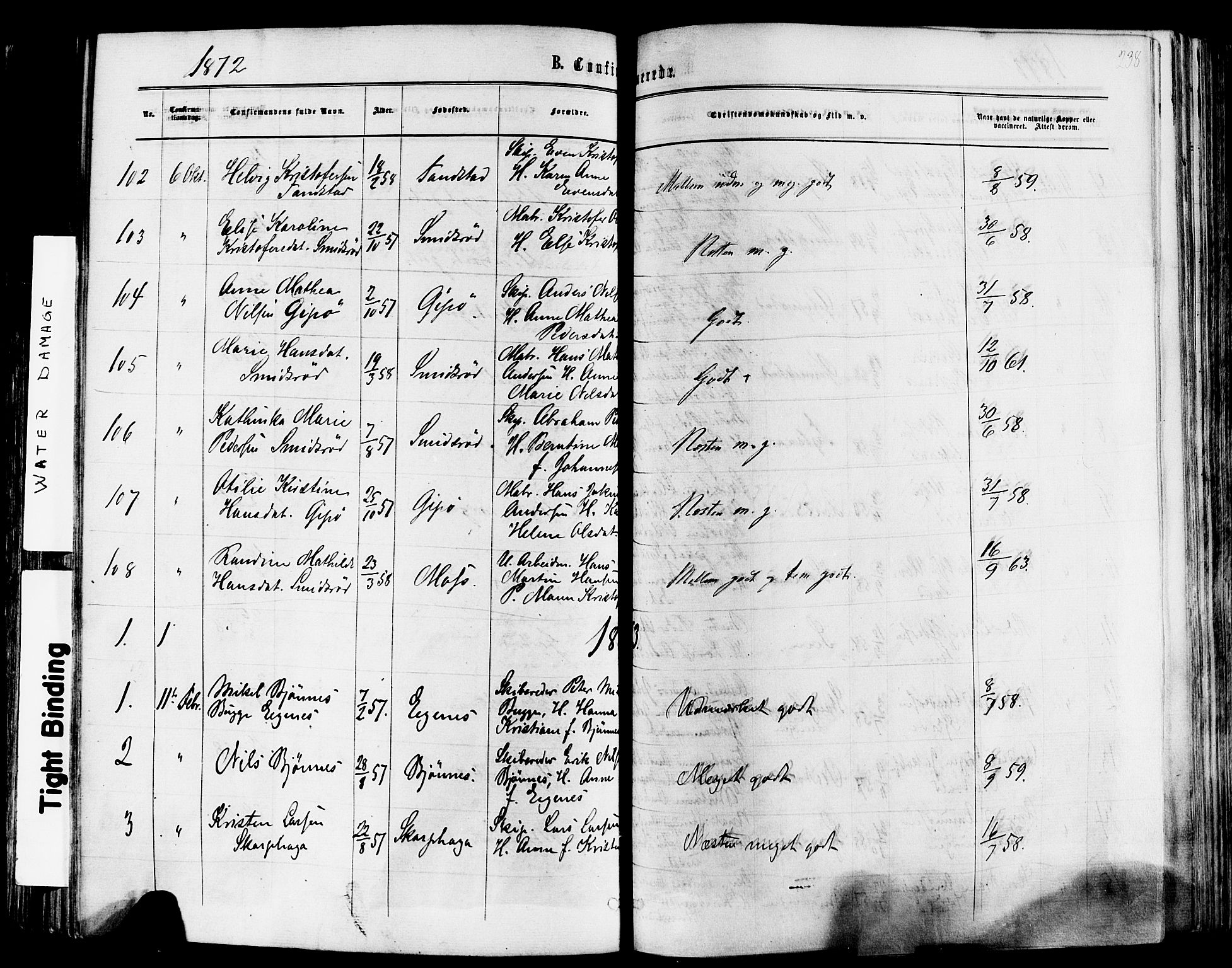 Nøtterøy kirkebøker, SAKO/A-354/F/Fa/L0007: Ministerialbok nr. I 7, 1865-1877, s. 238