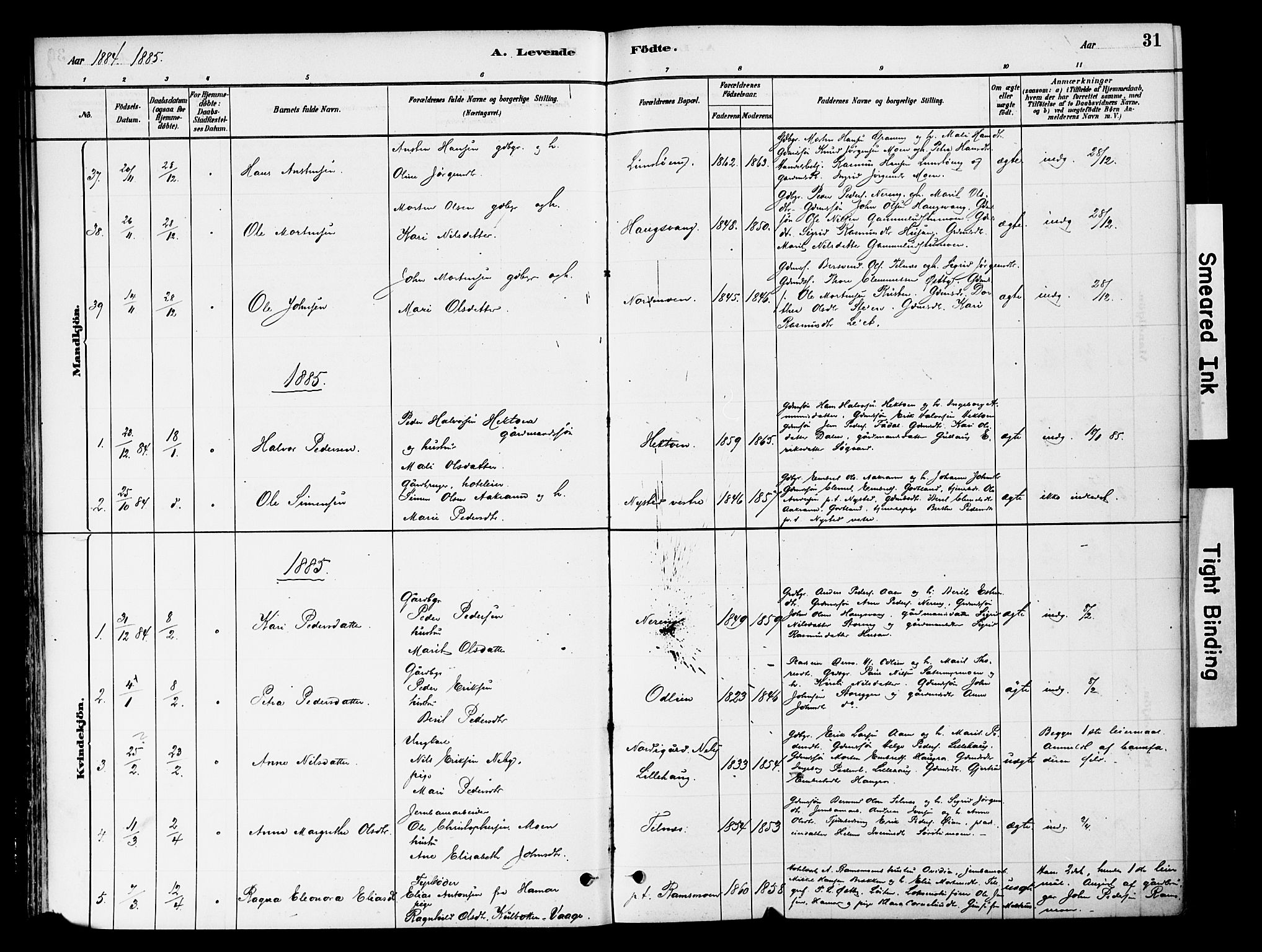 Tynset prestekontor, SAH/PREST-058/H/Ha/Haa/L0022: Ministerialbok nr. 22, 1880-1899, s. 31