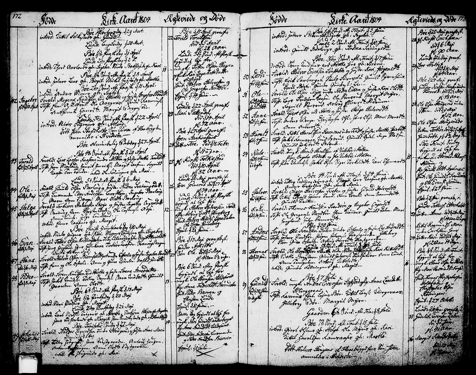 Bø kirkebøker, AV/SAKO-A-257/F/Fa/L0005: Ministerialbok nr. 5, 1785-1815, s. 172-173