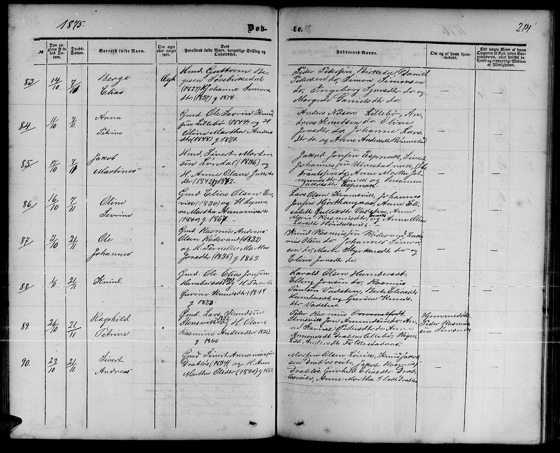 Ministerialprotokoller, klokkerbøker og fødselsregistre - Møre og Romsdal, AV/SAT-A-1454/511/L0157: Klokkerbok nr. 511C03, 1864-1884, s. 214