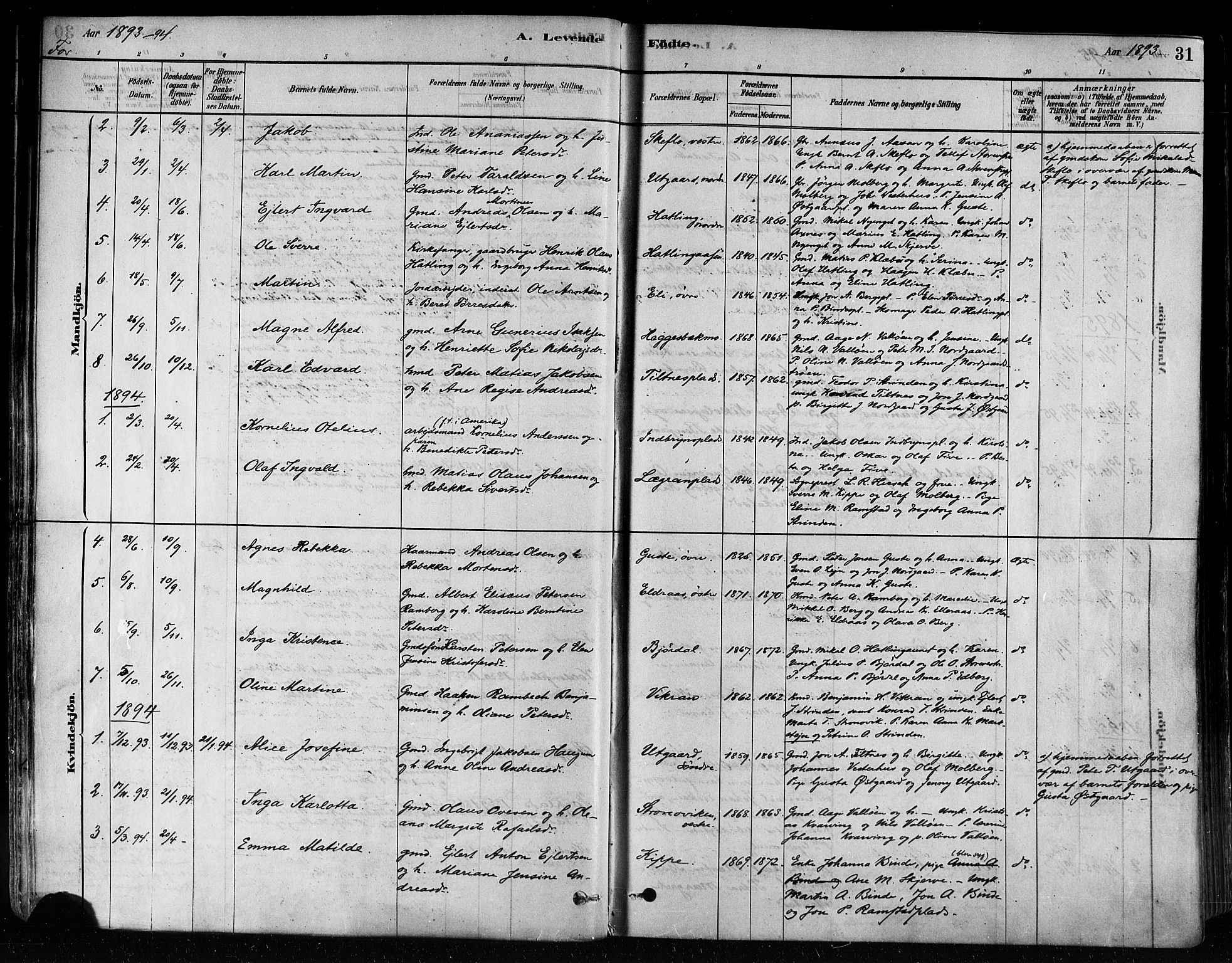 Ministerialprotokoller, klokkerbøker og fødselsregistre - Nord-Trøndelag, AV/SAT-A-1458/746/L0448: Ministerialbok nr. 746A07 /1, 1878-1900, s. 31