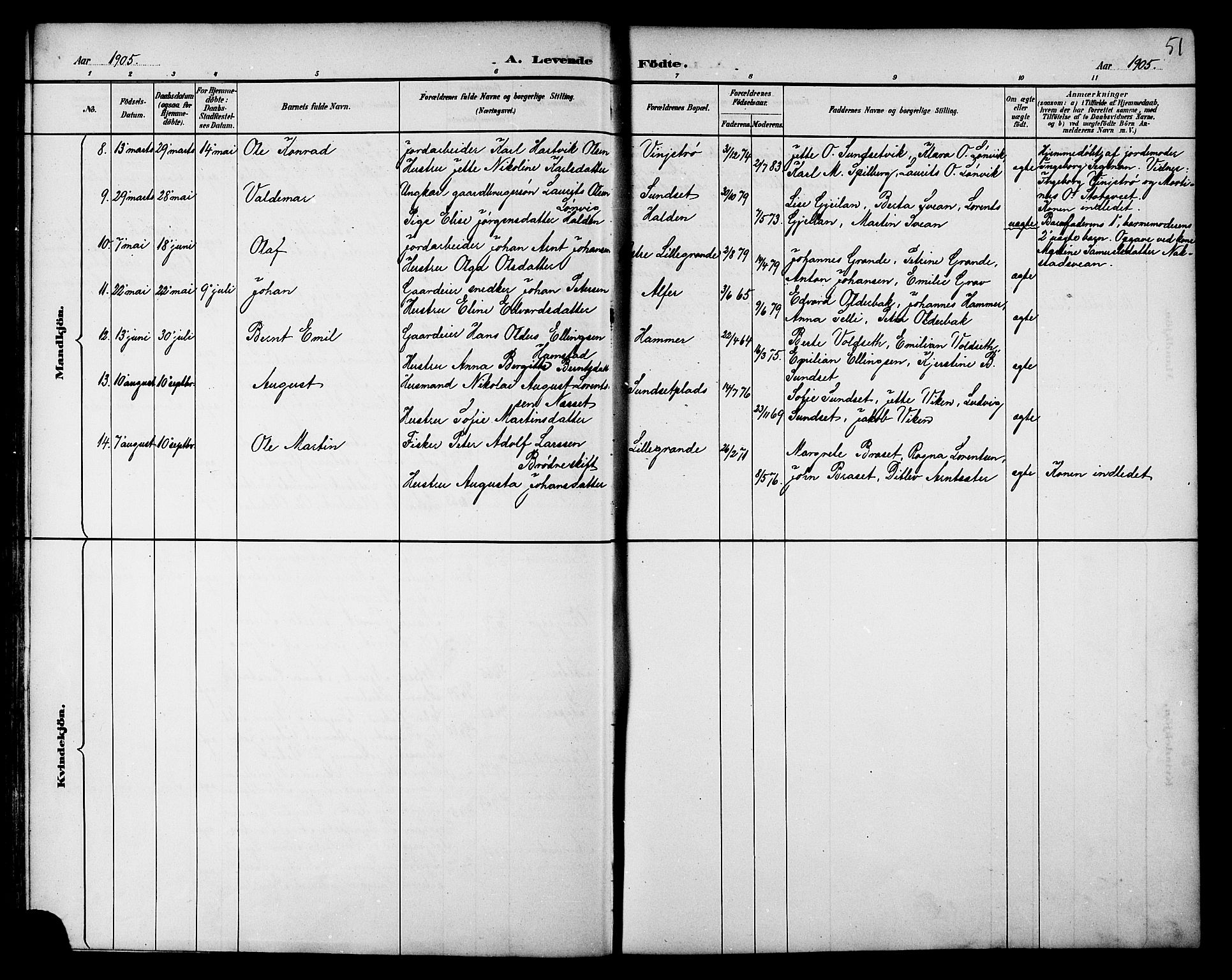 Ministerialprotokoller, klokkerbøker og fødselsregistre - Nord-Trøndelag, AV/SAT-A-1458/733/L0327: Klokkerbok nr. 733C02, 1888-1918, s. 51