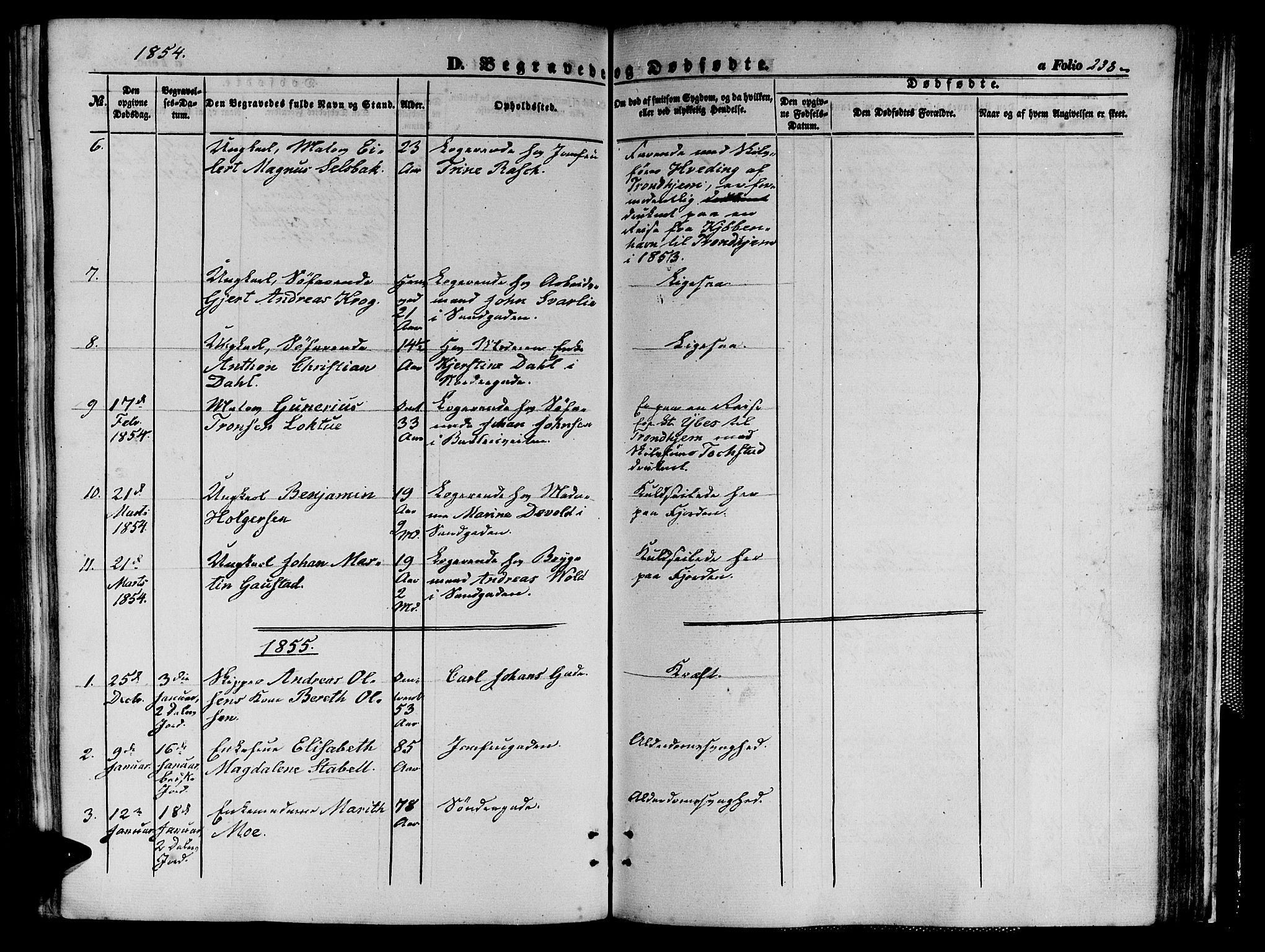 Ministerialprotokoller, klokkerbøker og fødselsregistre - Sør-Trøndelag, SAT/A-1456/602/L0138: Klokkerbok nr. 602C06, 1853-1858, s. 238