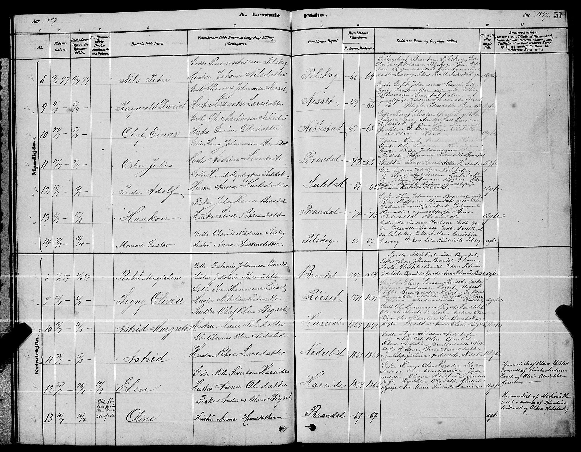 Ministerialprotokoller, klokkerbøker og fødselsregistre - Møre og Romsdal, AV/SAT-A-1454/510/L0125: Klokkerbok nr. 510C02, 1878-1900, s. 57