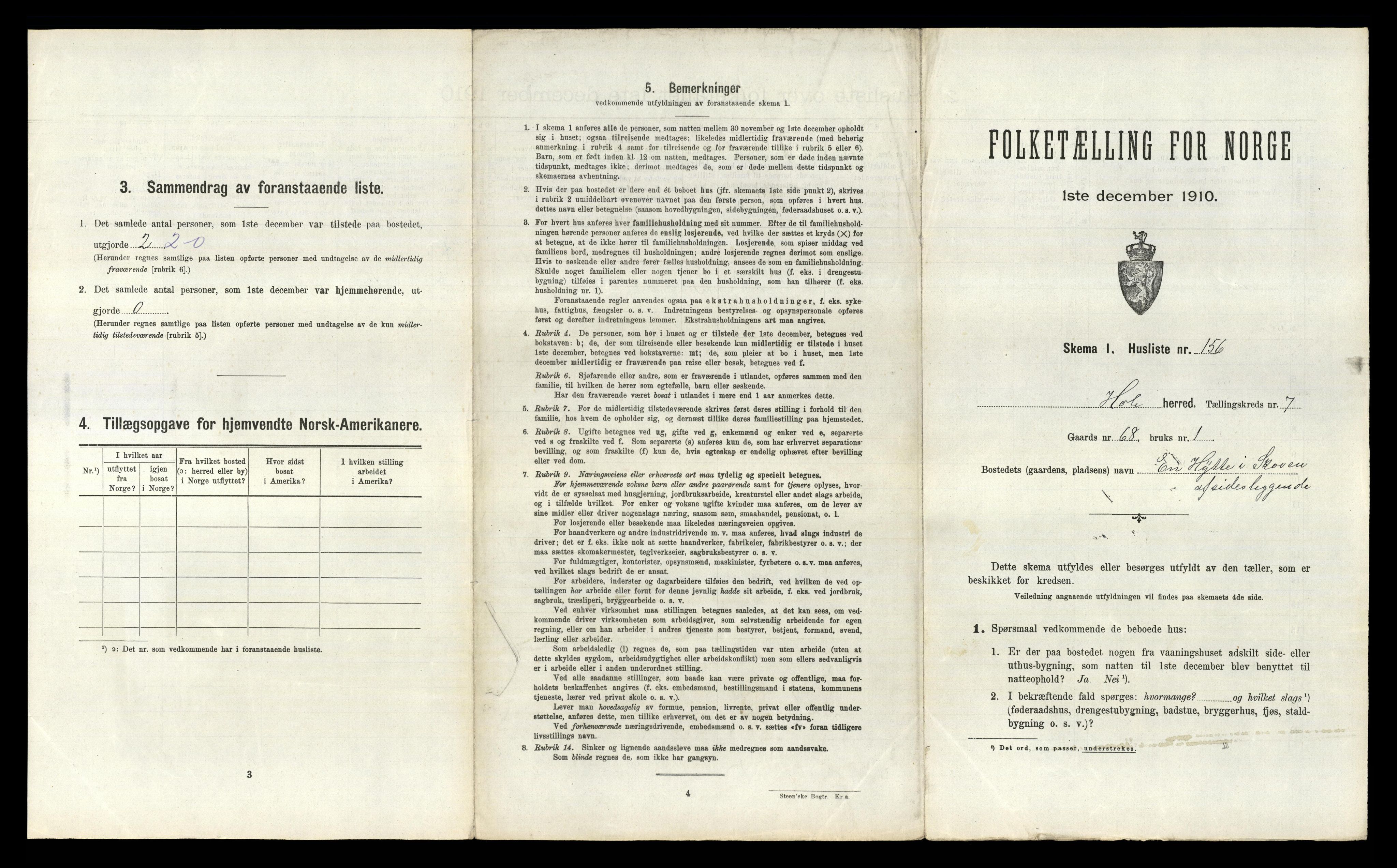 RA, Folketelling 1910 for 0612 Hole herred, 1910, s. 1196