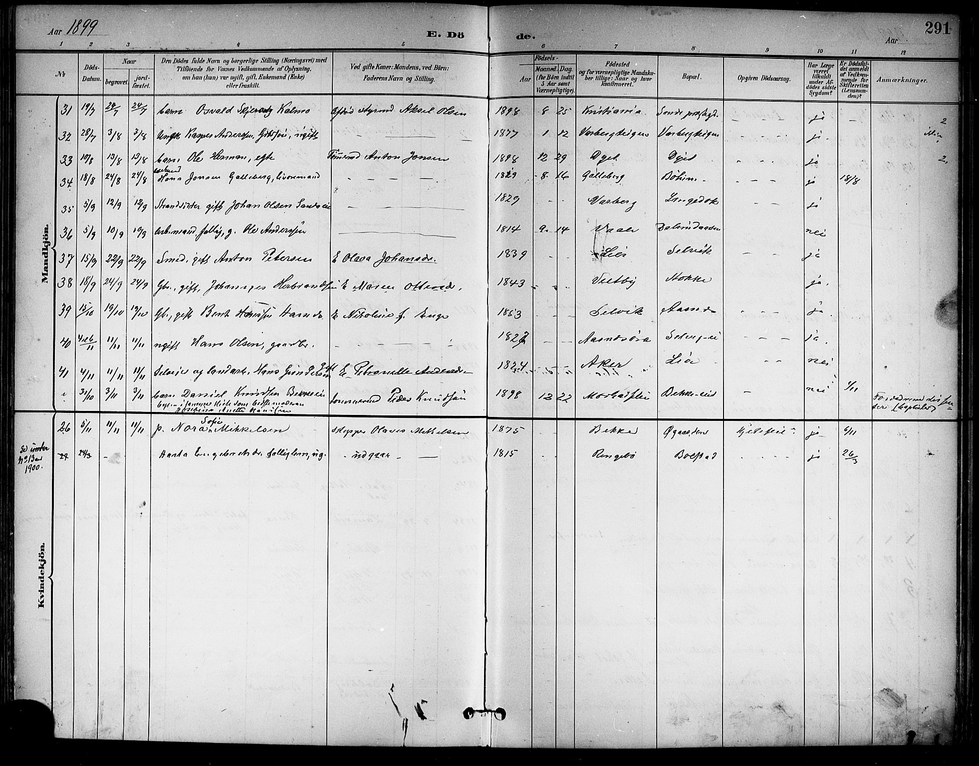 Sande Kirkebøker, AV/SAKO-A-53/G/Ga/L0004: Klokkerbok nr. 4, 1895-1918, s. 291