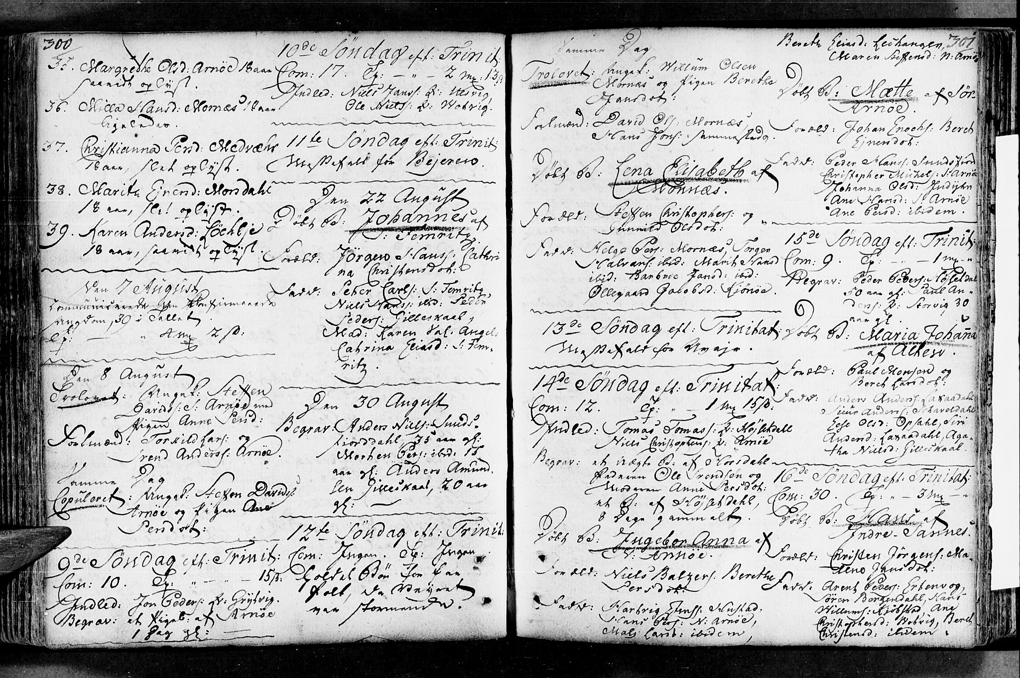 Ministerialprotokoller, klokkerbøker og fødselsregistre - Nordland, AV/SAT-A-1459/805/L0094: Ministerialbok nr. 805A01, 1773-1804, s. 300-301