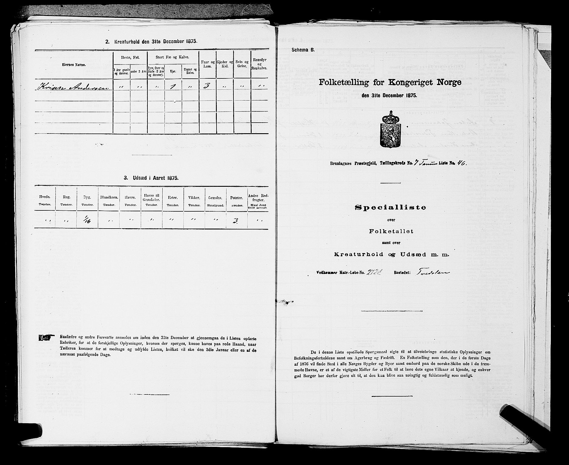 SAKO, Folketelling 1875 for 0726P Brunlanes prestegjeld, 1875, s. 879