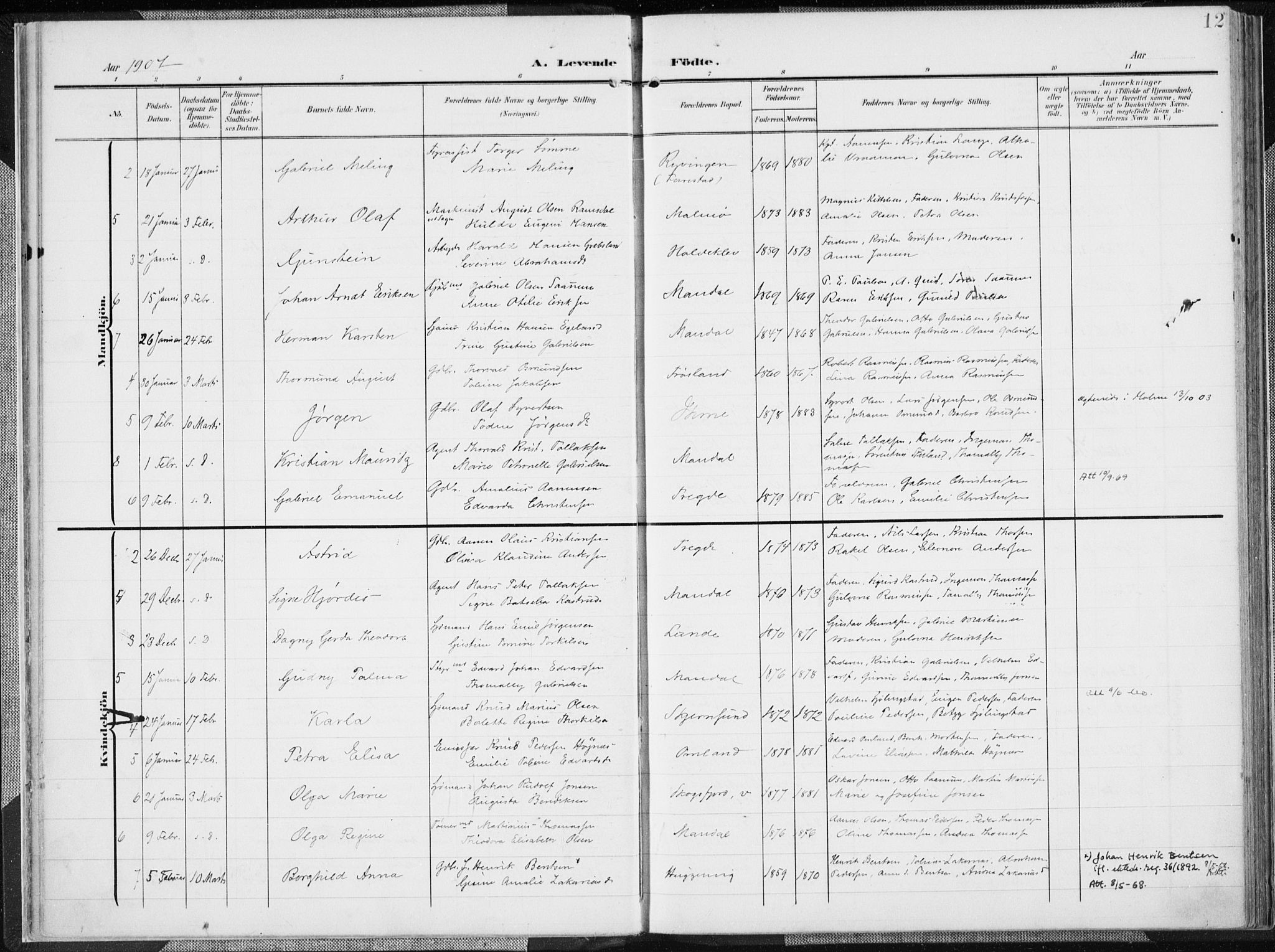 Mandal sokneprestkontor, AV/SAK-1111-0030/F/Fa/Faa/L0020: Ministerialbok nr. A 20, 1906-1912, s. 12