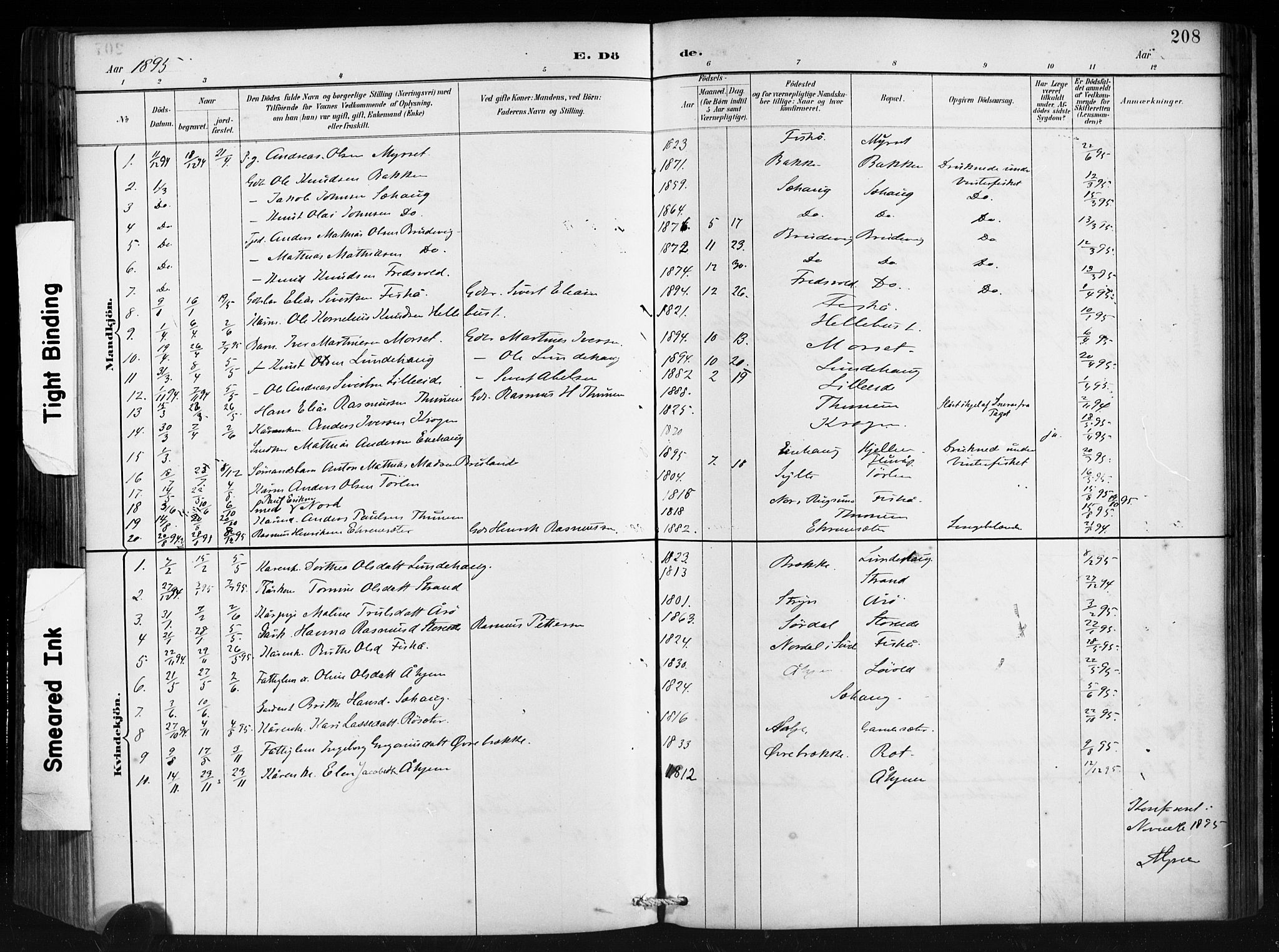 Ministerialprotokoller, klokkerbøker og fødselsregistre - Møre og Romsdal, AV/SAT-A-1454/501/L0008: Ministerialbok nr. 501A08, 1885-1901, s. 208