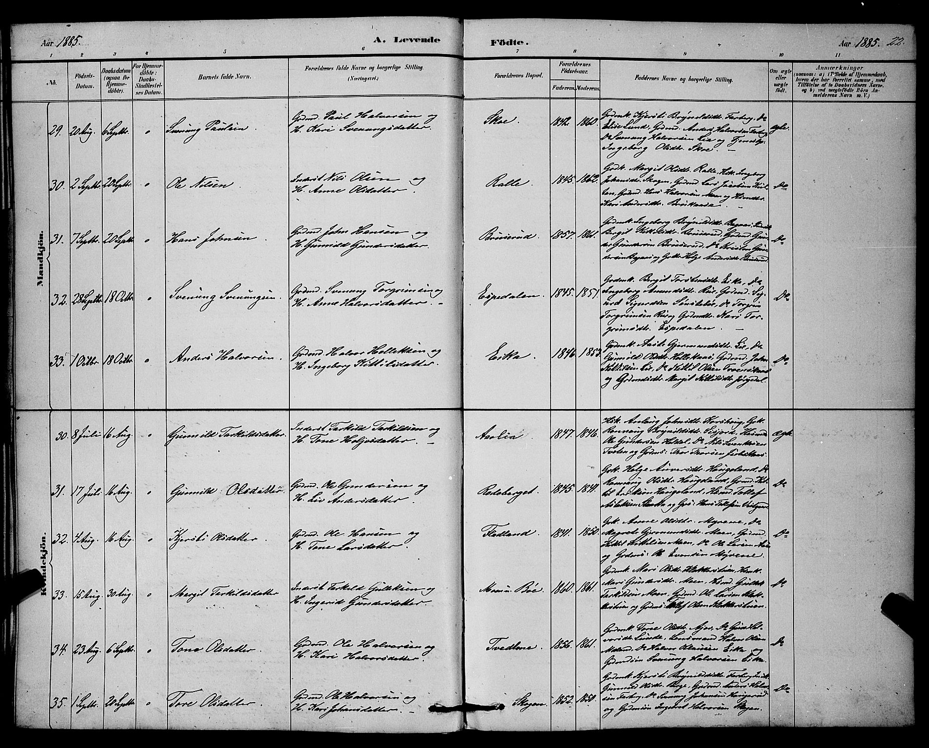 Bø kirkebøker, AV/SAKO-A-257/G/Ga/L0005: Klokkerbok nr. 5, 1883-1897, s. 22