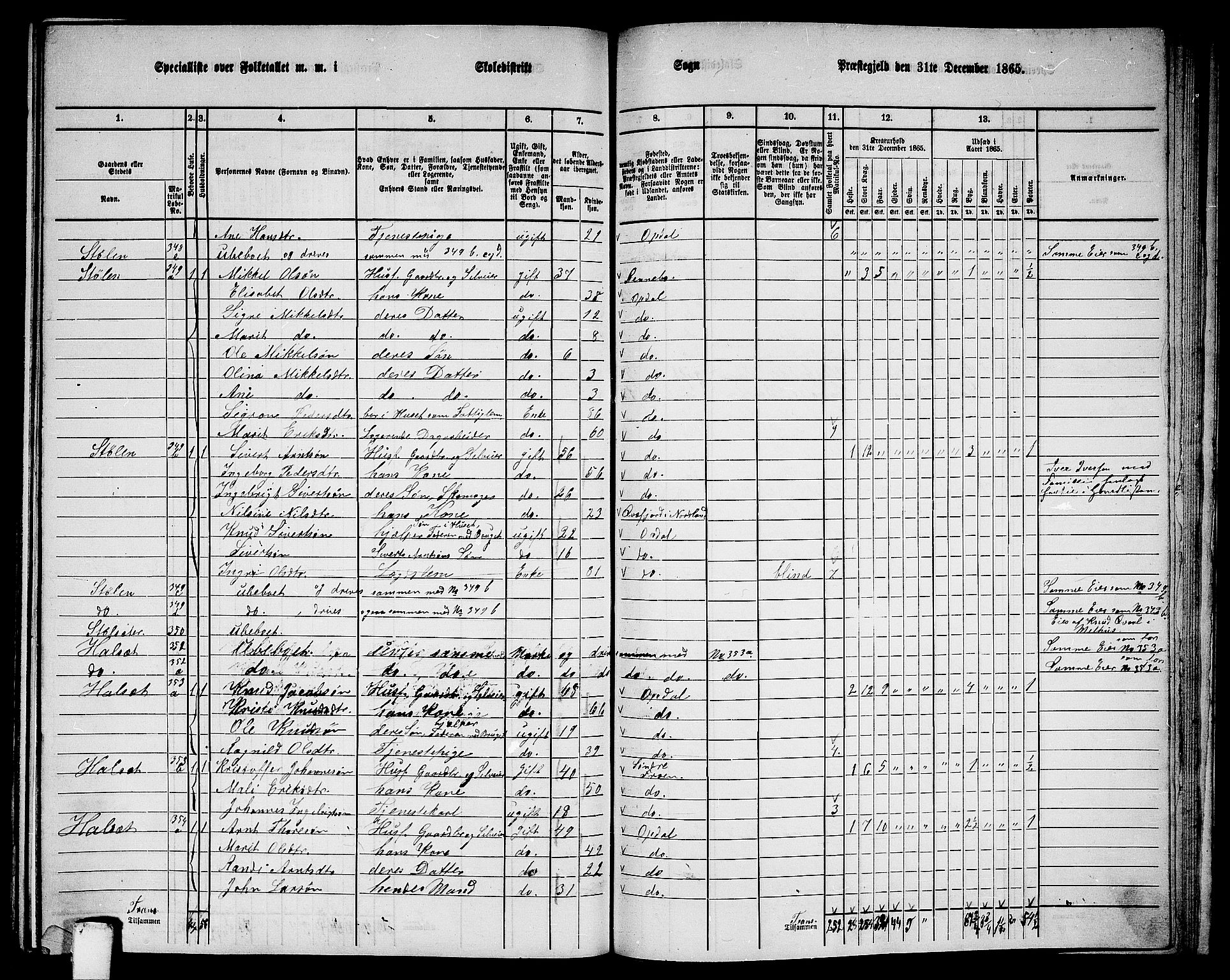 RA, Folketelling 1865 for 1634P Oppdal prestegjeld, 1865, s. 177