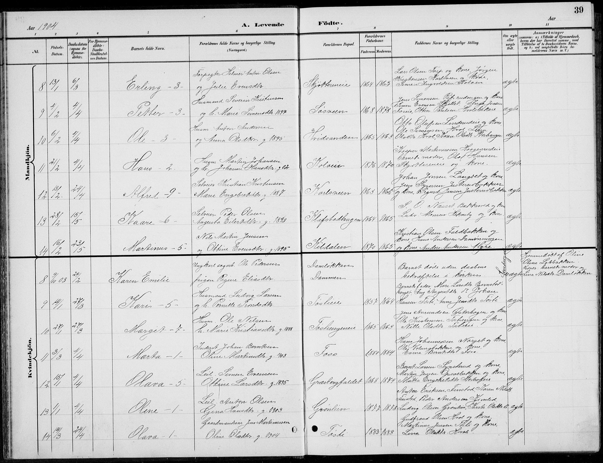 Romedal prestekontor, AV/SAH-PREST-004/L/L0013: Klokkerbok nr. 13, 1896-1937, s. 39