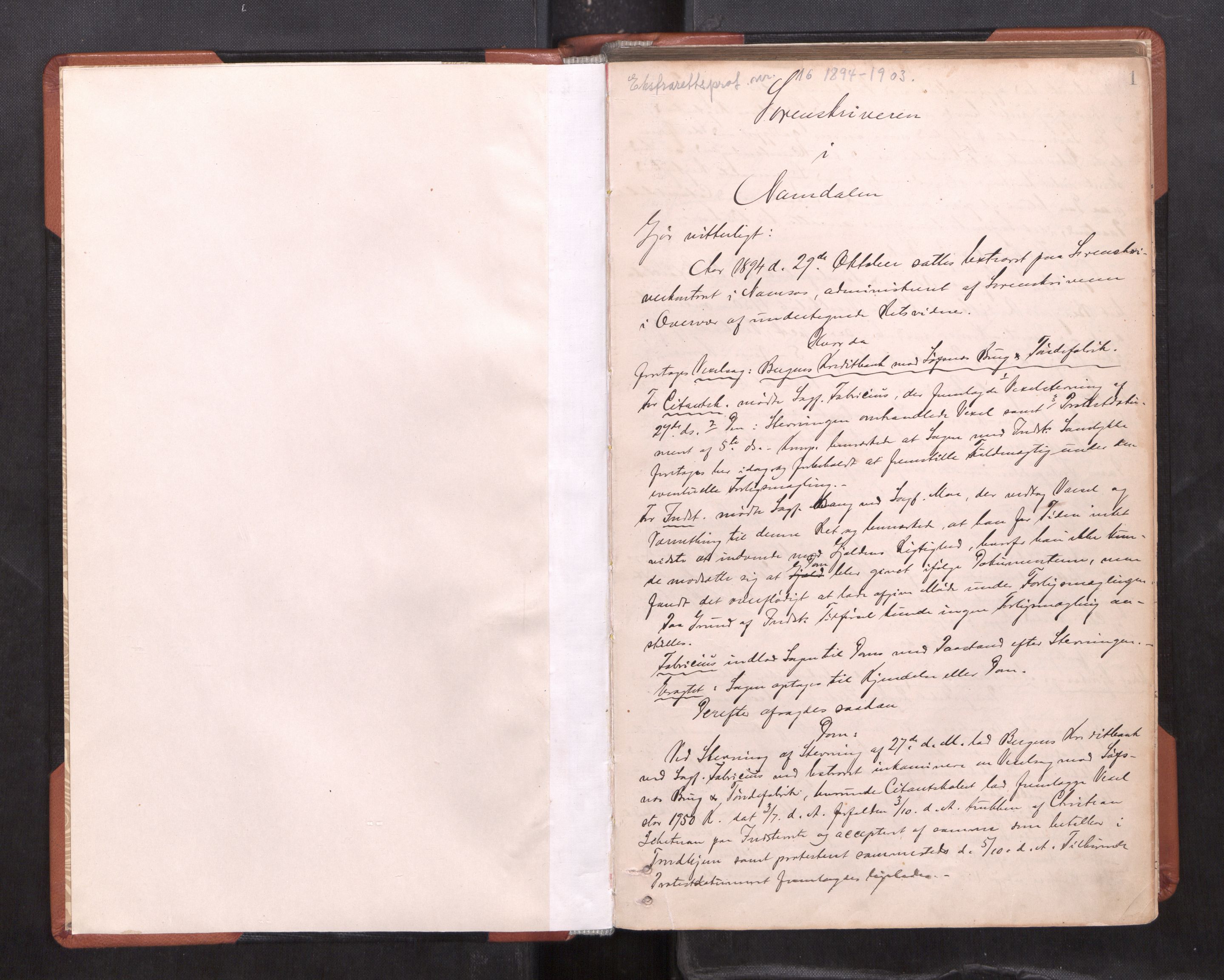 Namdal sorenskriveri, AV/SAT-A-4133/1/1/1B/L0021: Ekstrarettsprotokoll Nr 19, 1894-1903, s. 1a