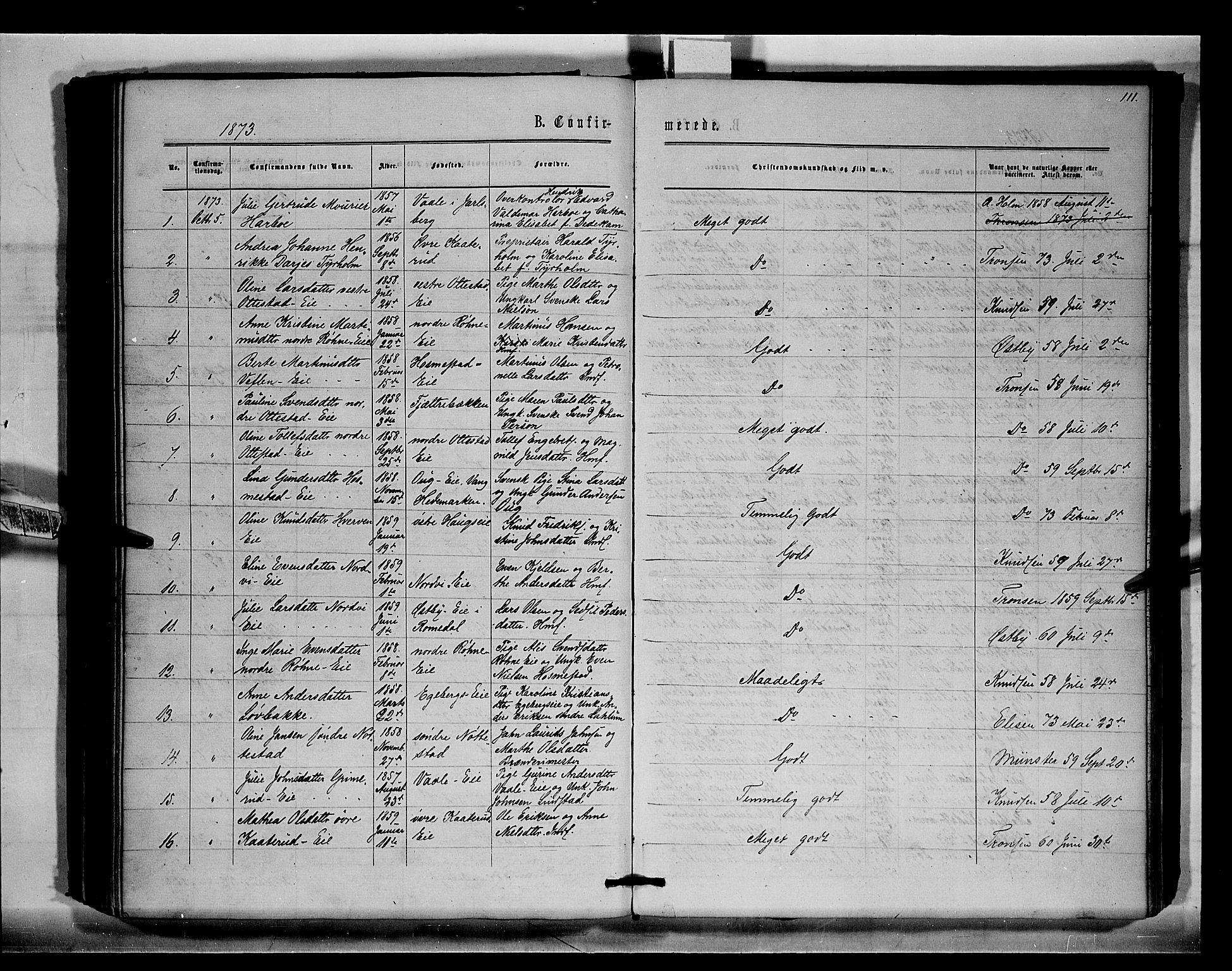 Stange prestekontor, AV/SAH-PREST-002/K/L0015: Ministerialbok nr. 15, 1862-1879, s. 111