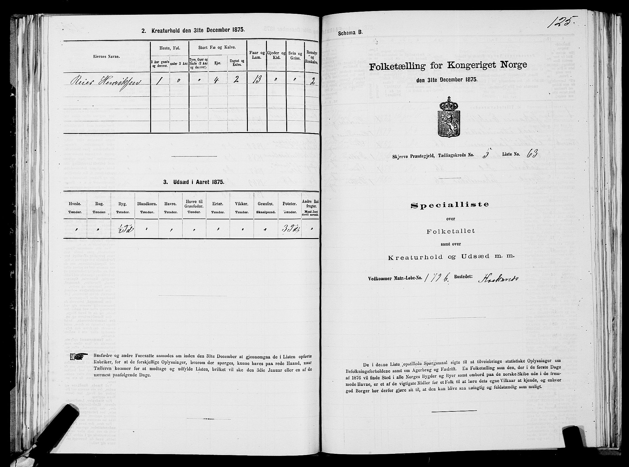 SATØ, Folketelling 1875 for 1941P Skjervøy prestegjeld, 1875, s. 4125