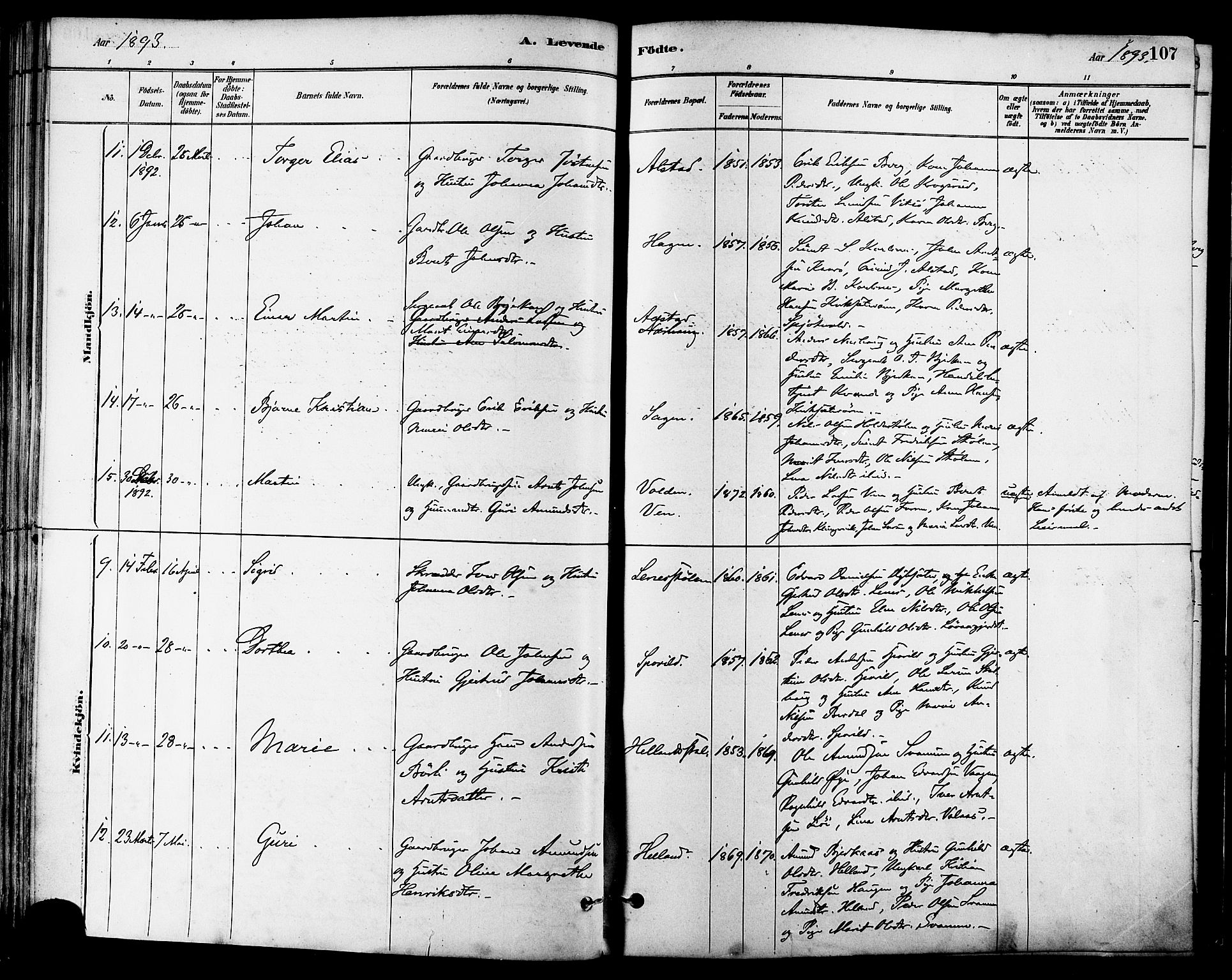 Ministerialprotokoller, klokkerbøker og fødselsregistre - Sør-Trøndelag, SAT/A-1456/630/L0496: Ministerialbok nr. 630A09, 1879-1895, s. 107