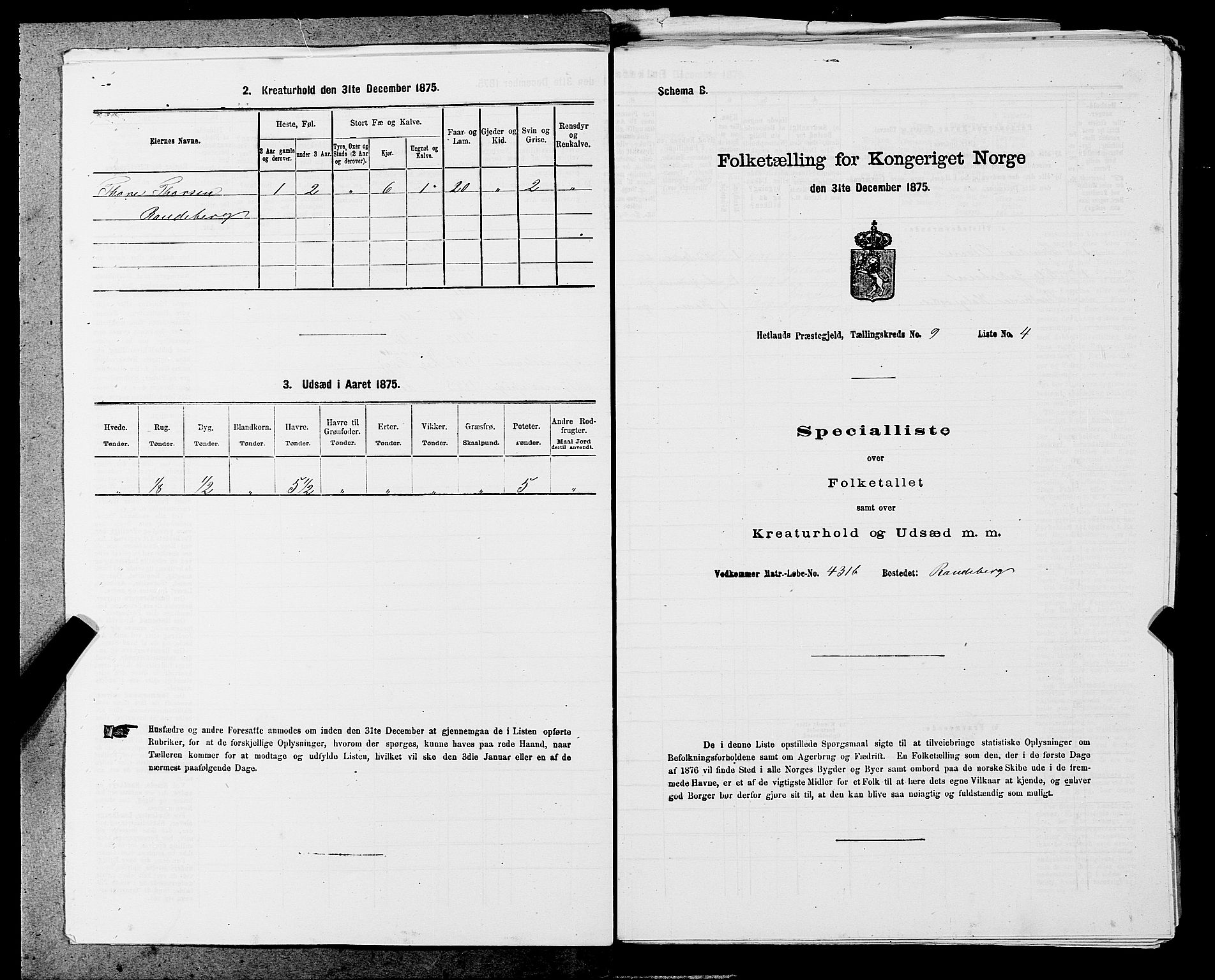 SAST, Folketelling 1875 for 1126P Hetland prestegjeld, 1875, s. 1803