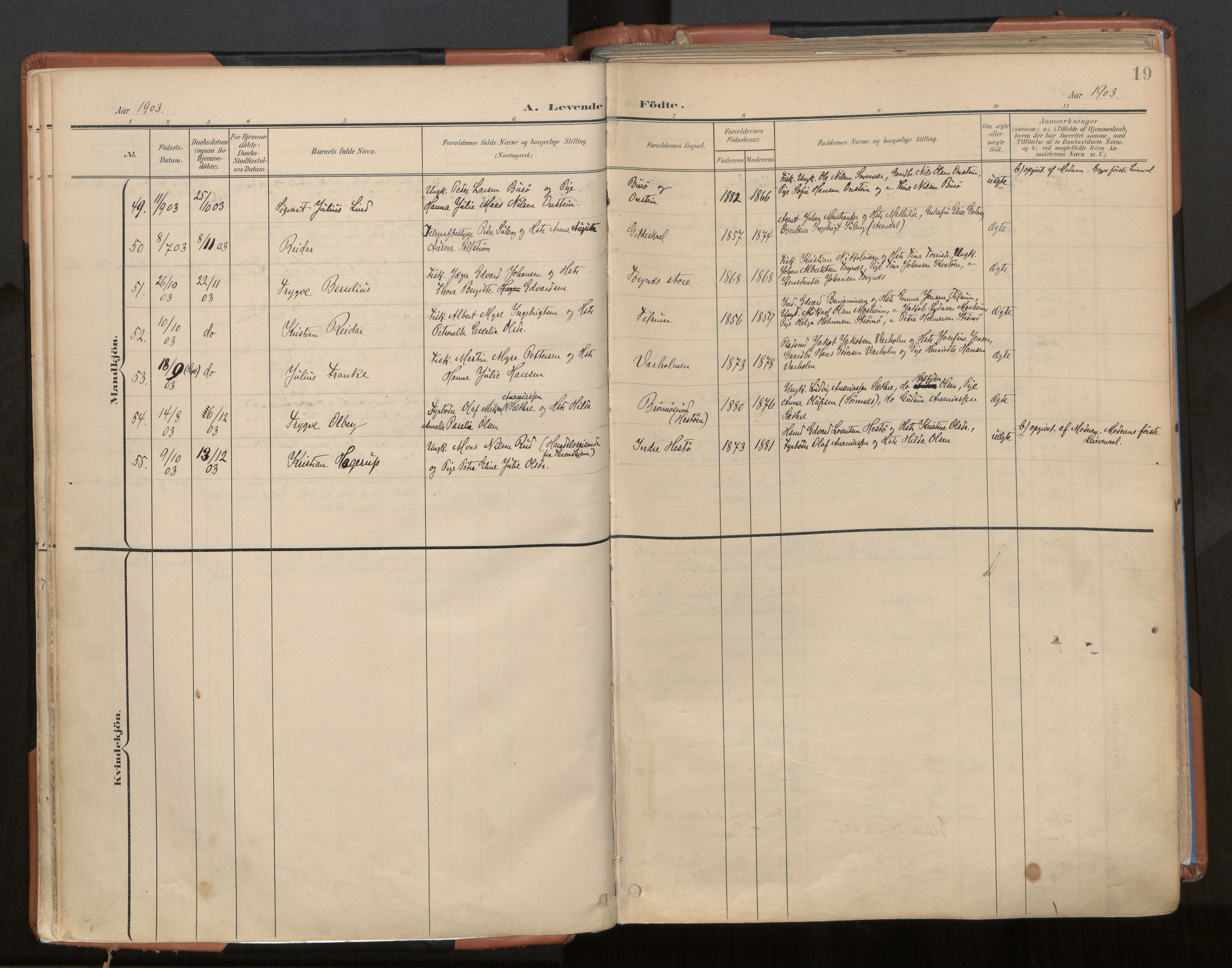 Ministerialprotokoller, klokkerbøker og fødselsregistre - Nordland, AV/SAT-A-1459/813/L0201: Ministerialbok nr. 813A11, 1901-1918, s. 19