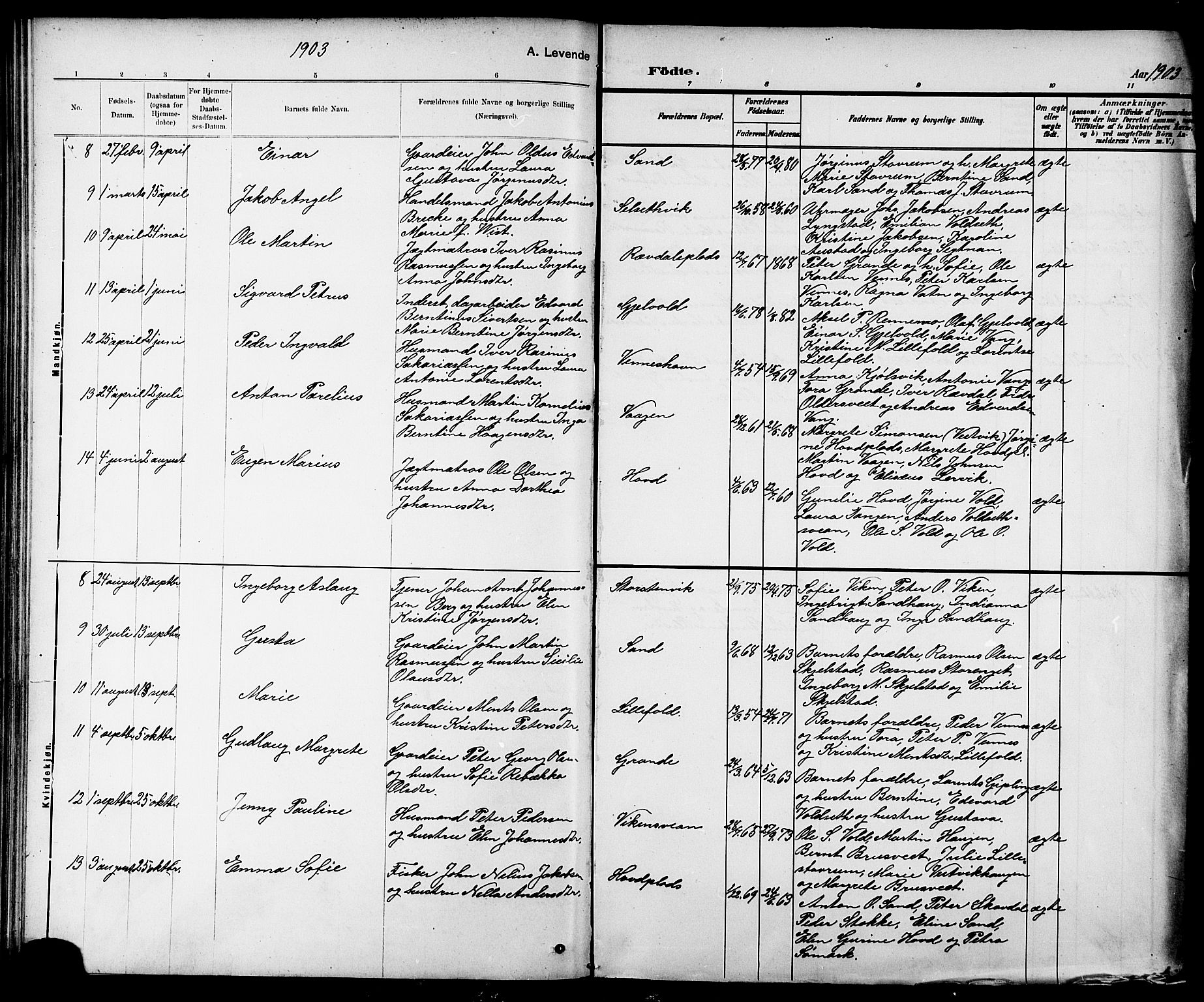 Ministerialprotokoller, klokkerbøker og fødselsregistre - Nord-Trøndelag, AV/SAT-A-1458/744/L0423: Klokkerbok nr. 744C02, 1886-1905, s. 66b