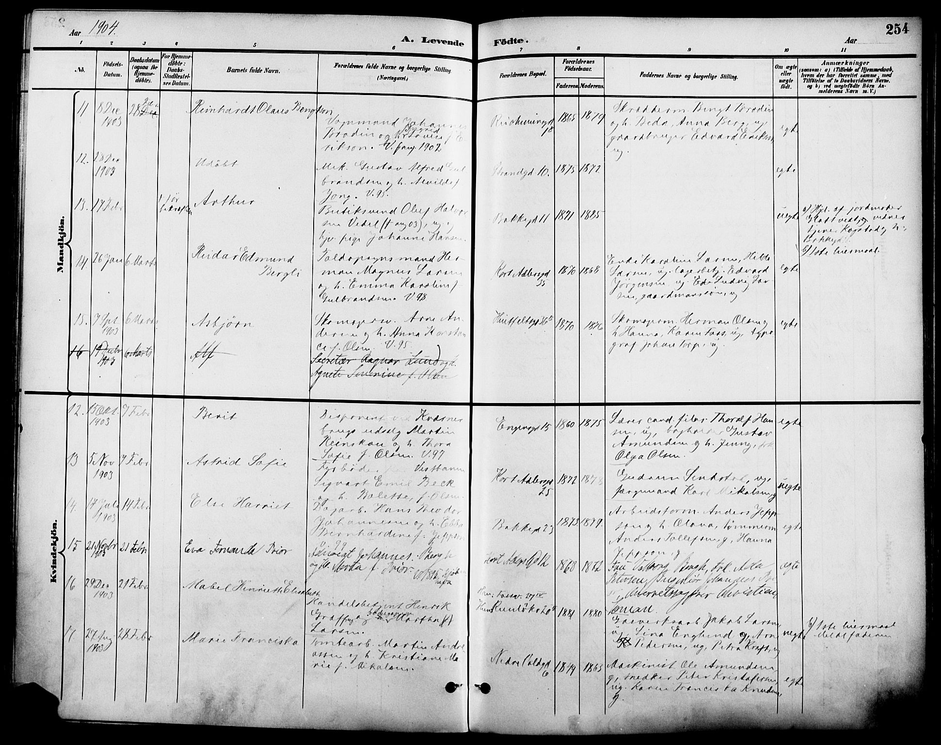 Johannes prestekontor Kirkebøker, AV/SAO-A-10852/F/Fa/L0007: Ministerialbok nr. 7, 1896-1905, s. 254
