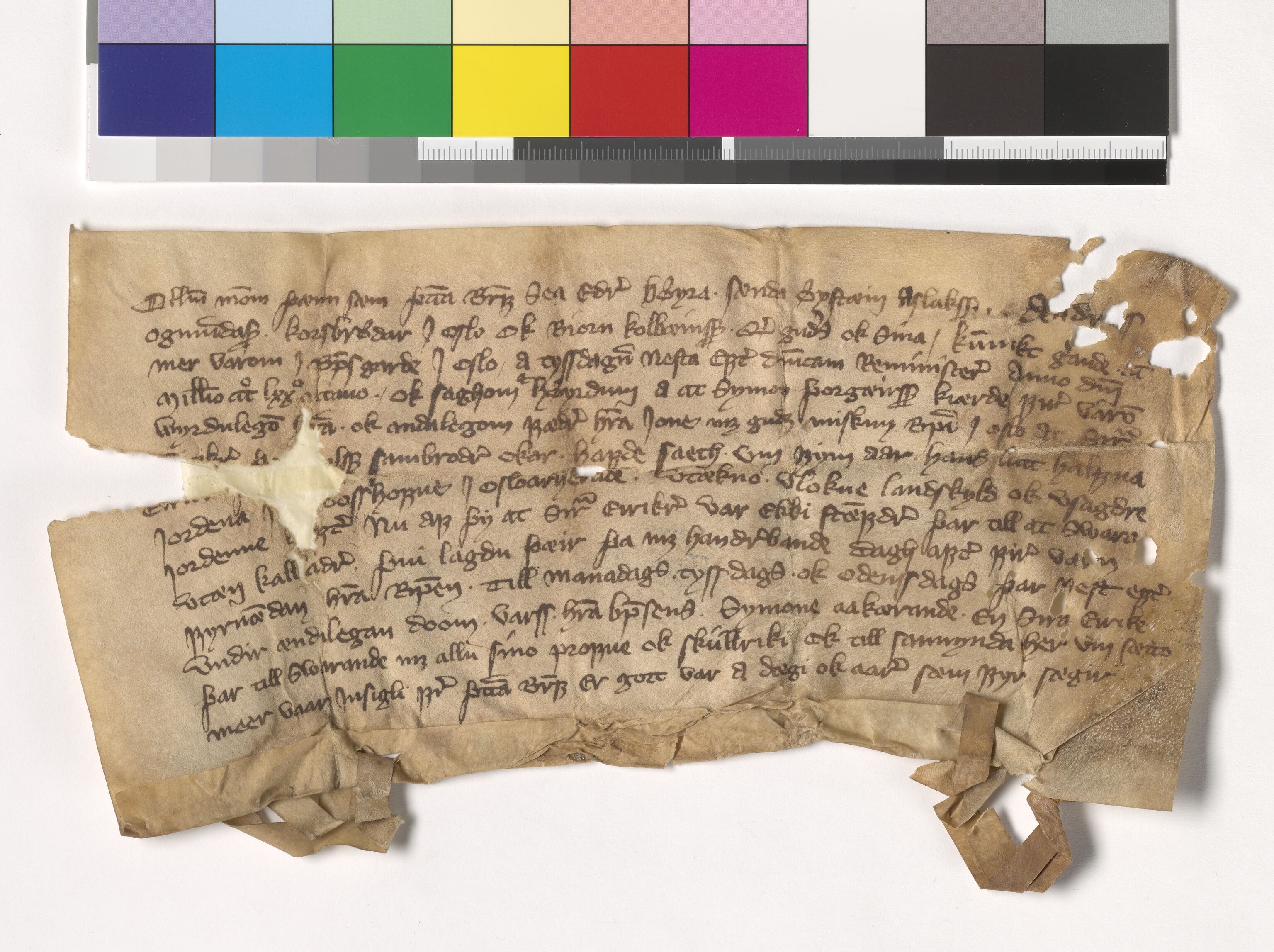 Riksarkivets diplomsamling, AV/RA-EA-5965/F05/L0179: NRA AM fasc. 73 nr. 9-28, 1376-1378, s. 17