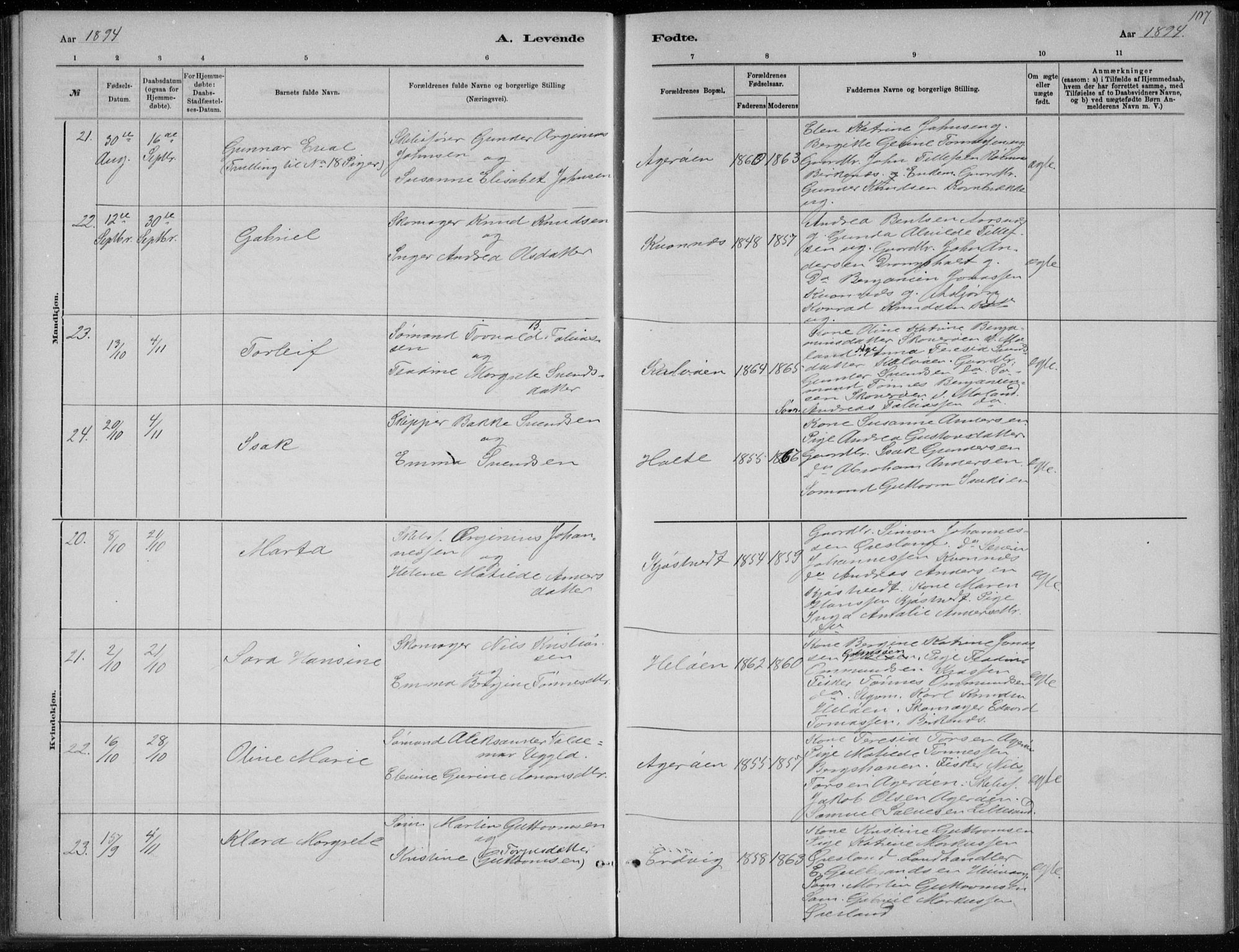 Høvåg sokneprestkontor, AV/SAK-1111-0025/F/Fb/L0004: Klokkerbok nr. B 4, 1883-1898, s. 107