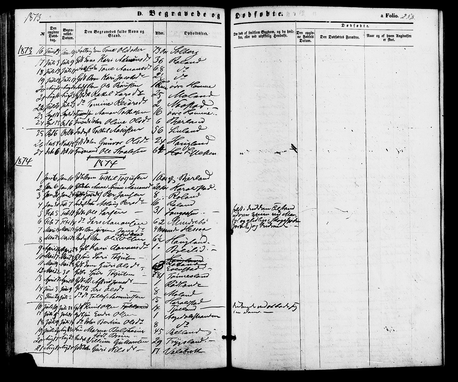 Bjelland sokneprestkontor, AV/SAK-1111-0005/F/Fa/Faa/L0003: Ministerialbok nr. A 3, 1867-1887, s. 258