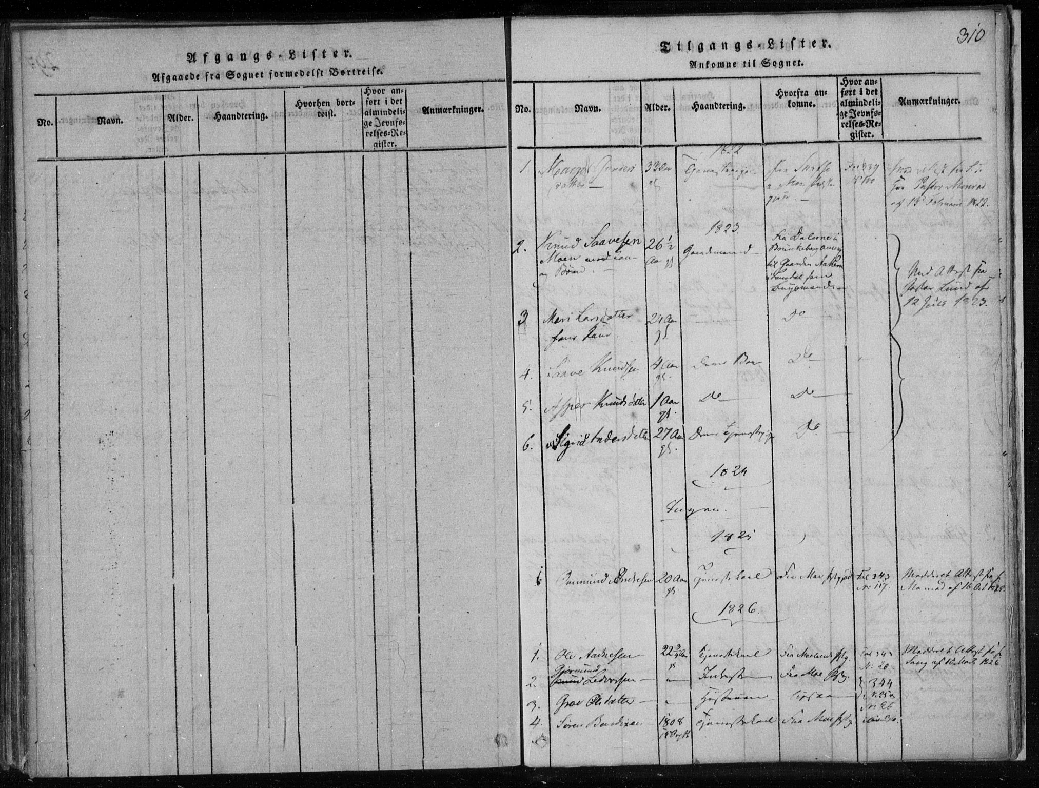 Lårdal kirkebøker, AV/SAKO-A-284/F/Fa/L0005: Ministerialbok nr. I 5, 1815-1860, s. 310