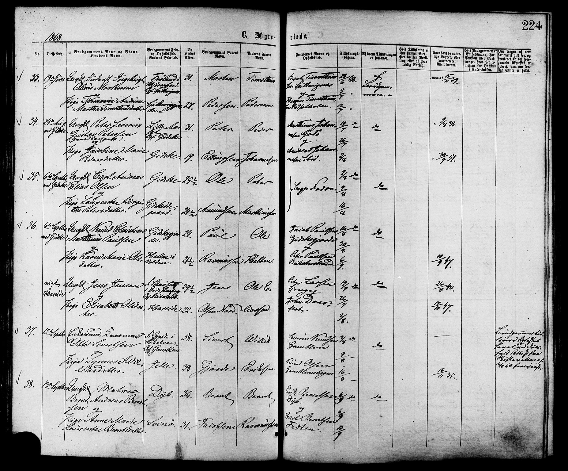 Ministerialprotokoller, klokkerbøker og fødselsregistre - Møre og Romsdal, AV/SAT-A-1454/528/L0399: Ministerialbok nr. 528A10, 1864-1879, s. 224