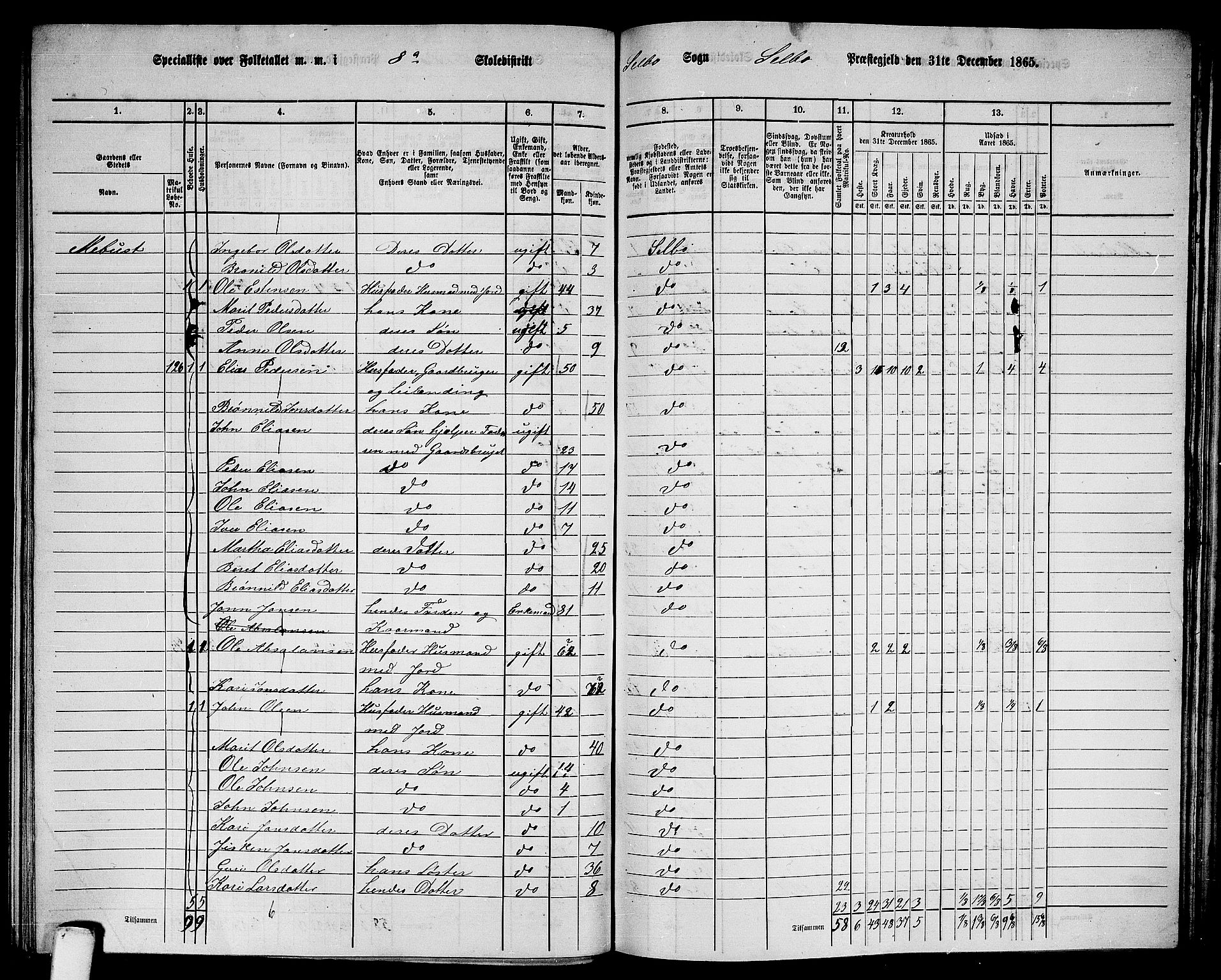 RA, Folketelling 1865 for 1664P Selbu prestegjeld, 1865, s. 135
