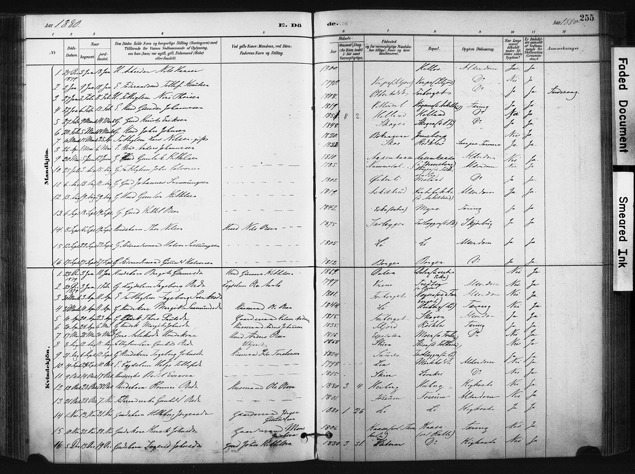 Bø kirkebøker, AV/SAKO-A-257/F/Fa/L0010: Ministerialbok nr. 10, 1880-1892, s. 255