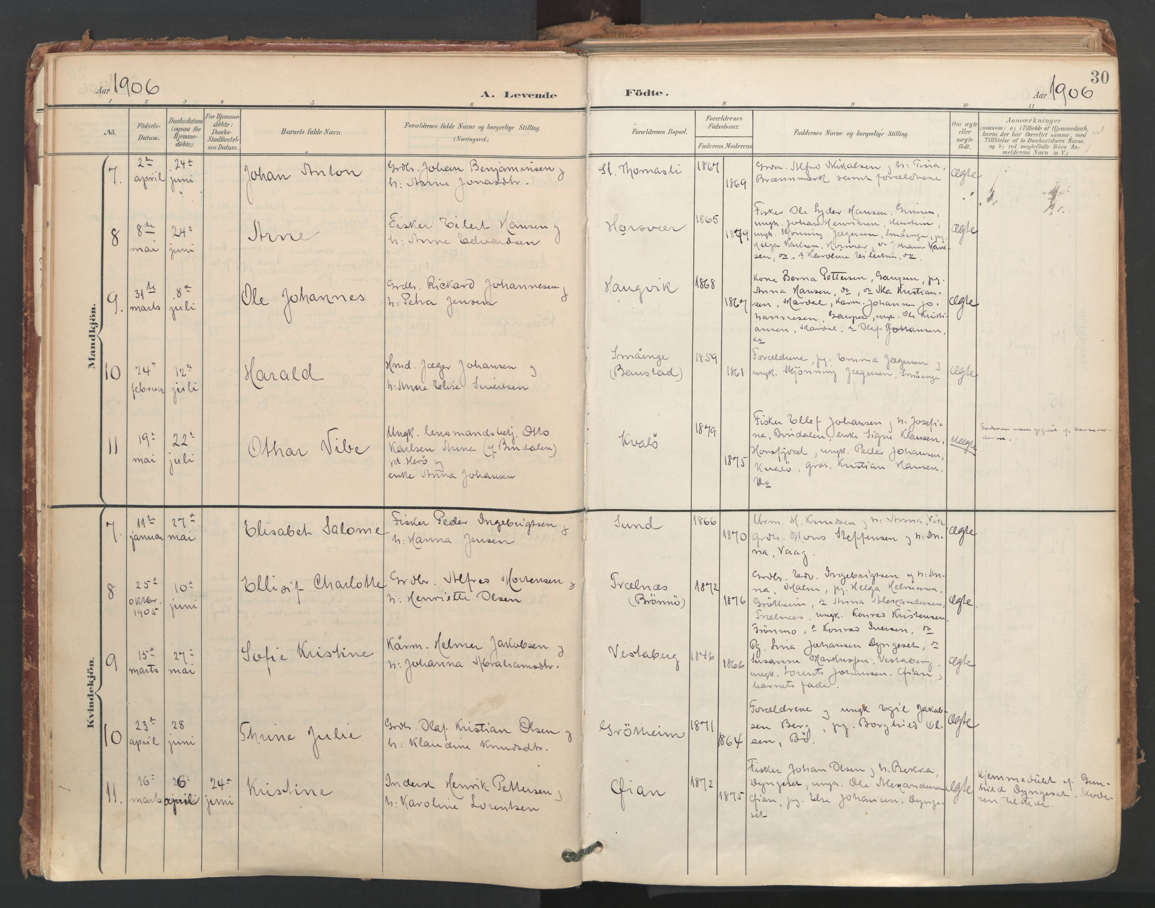 Ministerialprotokoller, klokkerbøker og fødselsregistre - Nordland, AV/SAT-A-1459/812/L0180: Ministerialbok nr. 812A09, 1901-1915, s. 30