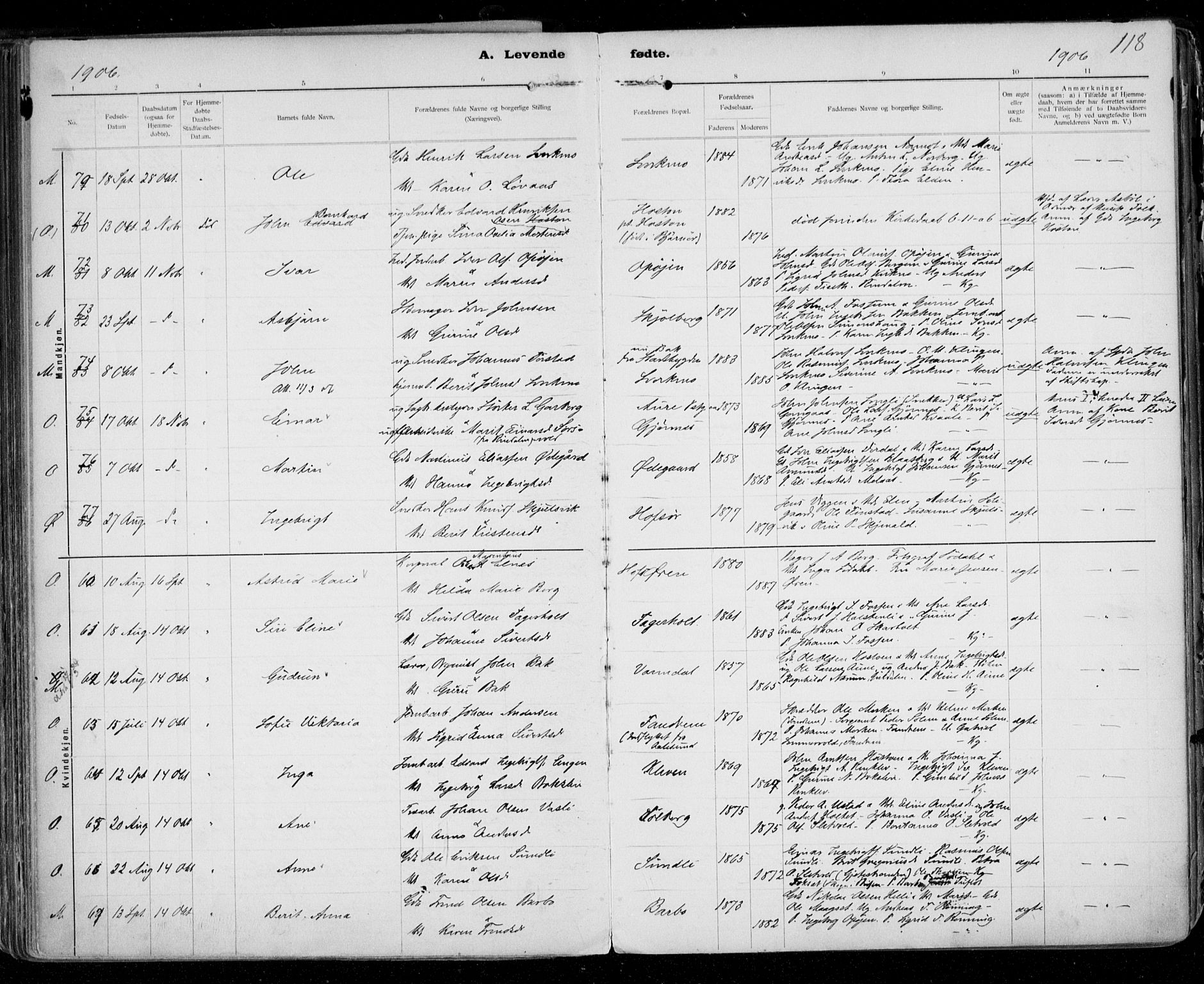 Ministerialprotokoller, klokkerbøker og fødselsregistre - Sør-Trøndelag, SAT/A-1456/668/L0811: Ministerialbok nr. 668A11, 1894-1913, s. 118