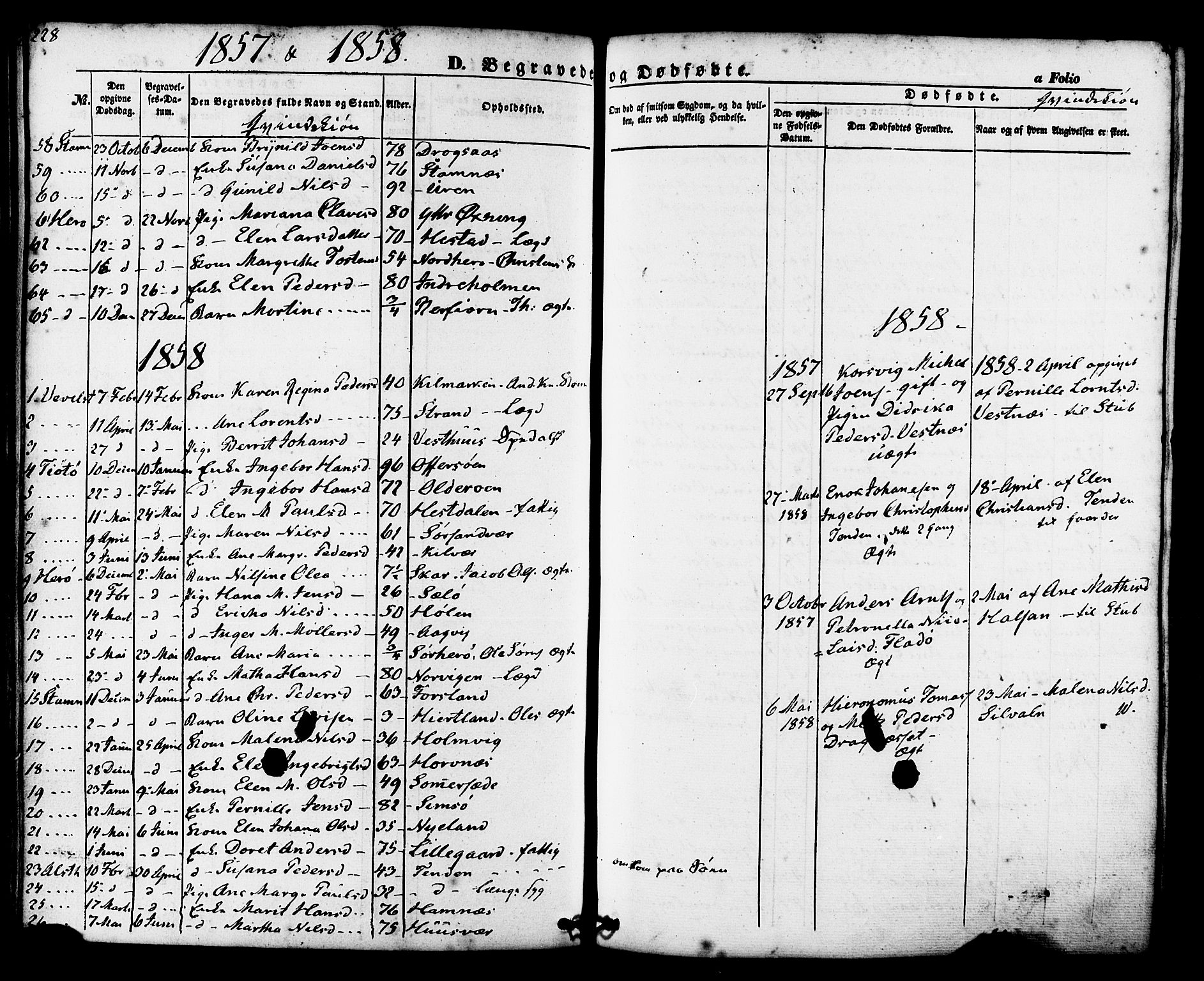 Ministerialprotokoller, klokkerbøker og fødselsregistre - Nordland, AV/SAT-A-1459/830/L0448: Ministerialbok nr. 830A12, 1855-1878, s. 228