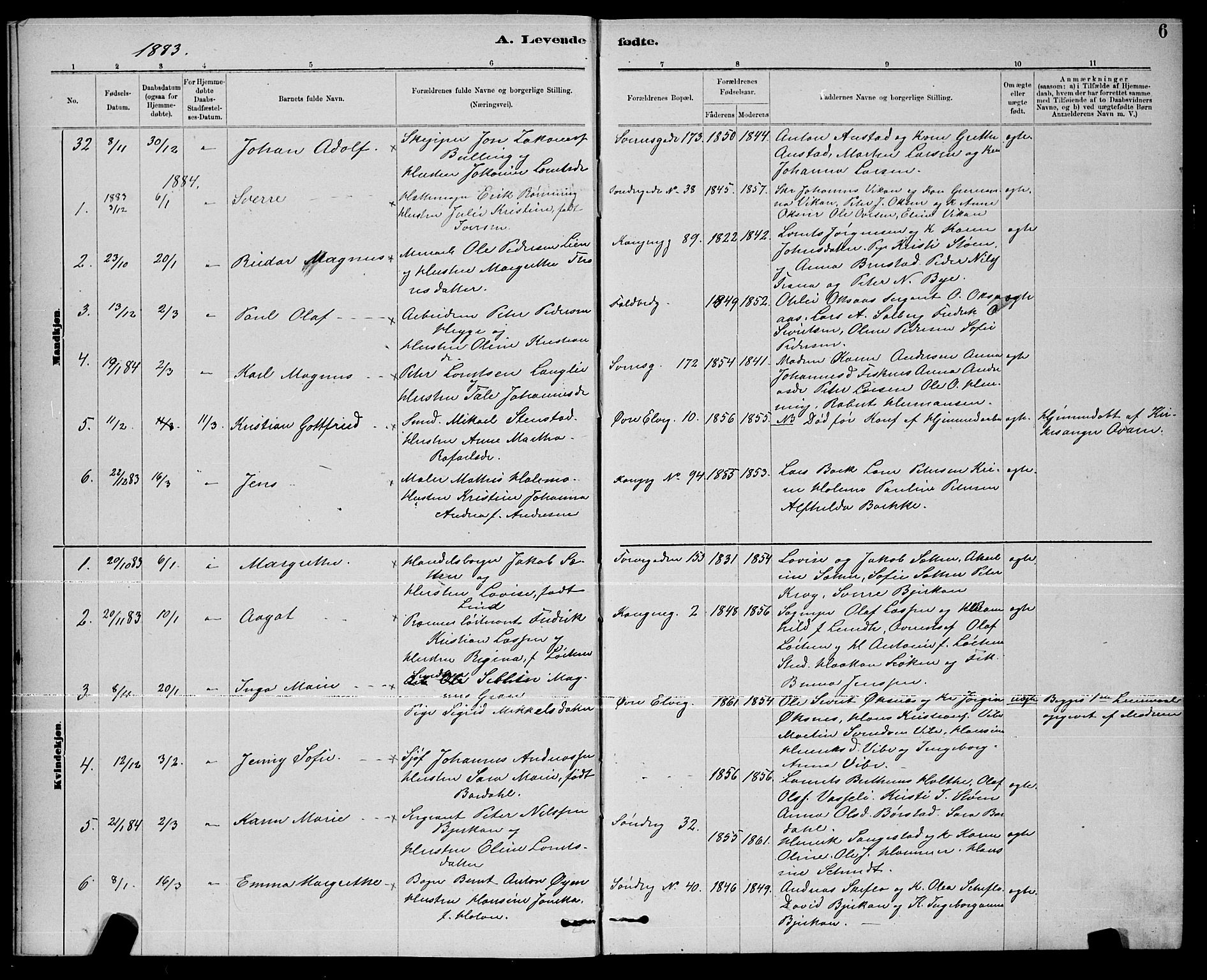 Ministerialprotokoller, klokkerbøker og fødselsregistre - Nord-Trøndelag, SAT/A-1458/739/L0374: Klokkerbok nr. 739C02, 1883-1898, s. 6