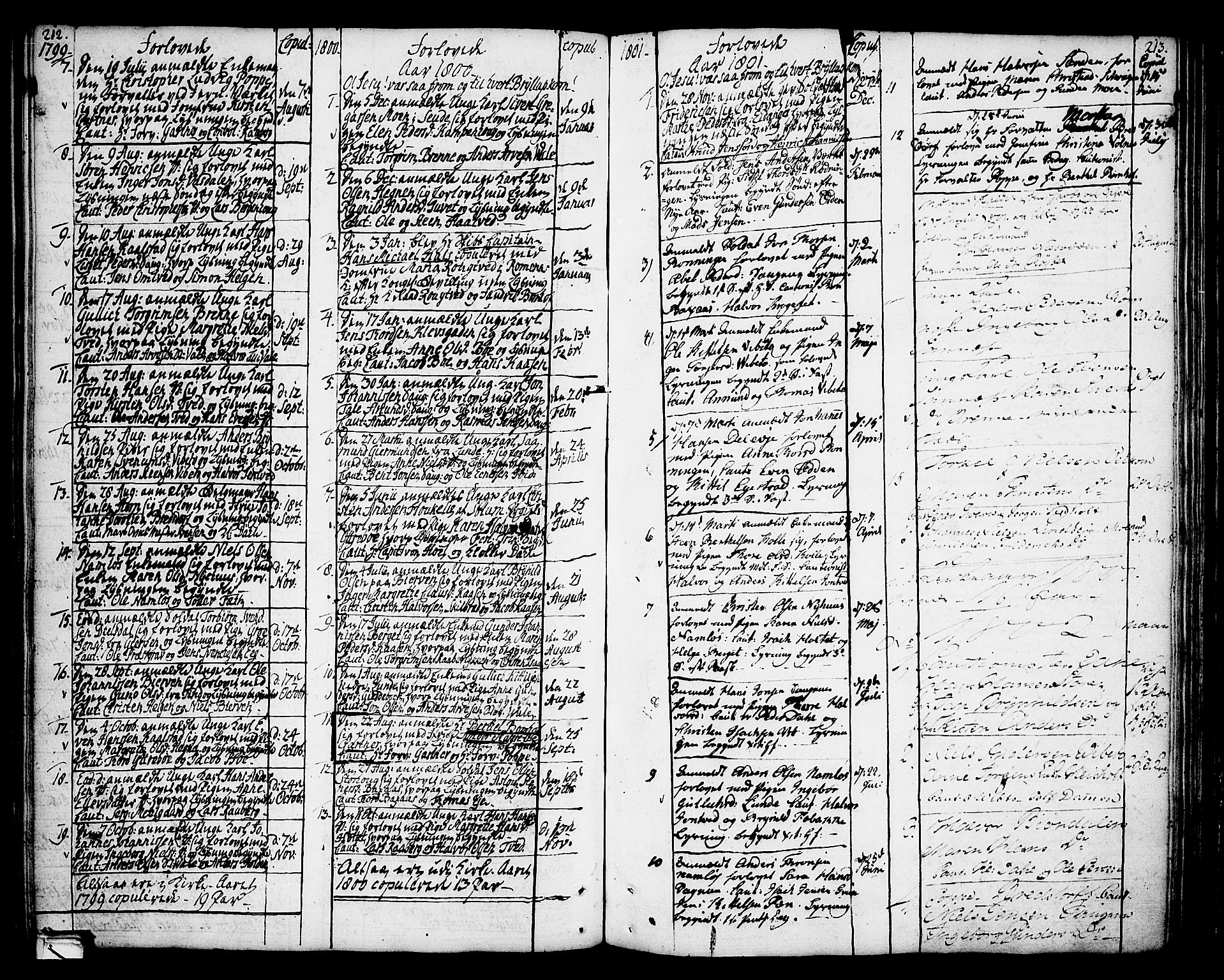 Holla kirkebøker, AV/SAKO-A-272/F/Fa/L0002: Ministerialbok nr. 2, 1779-1814, s. 212-213
