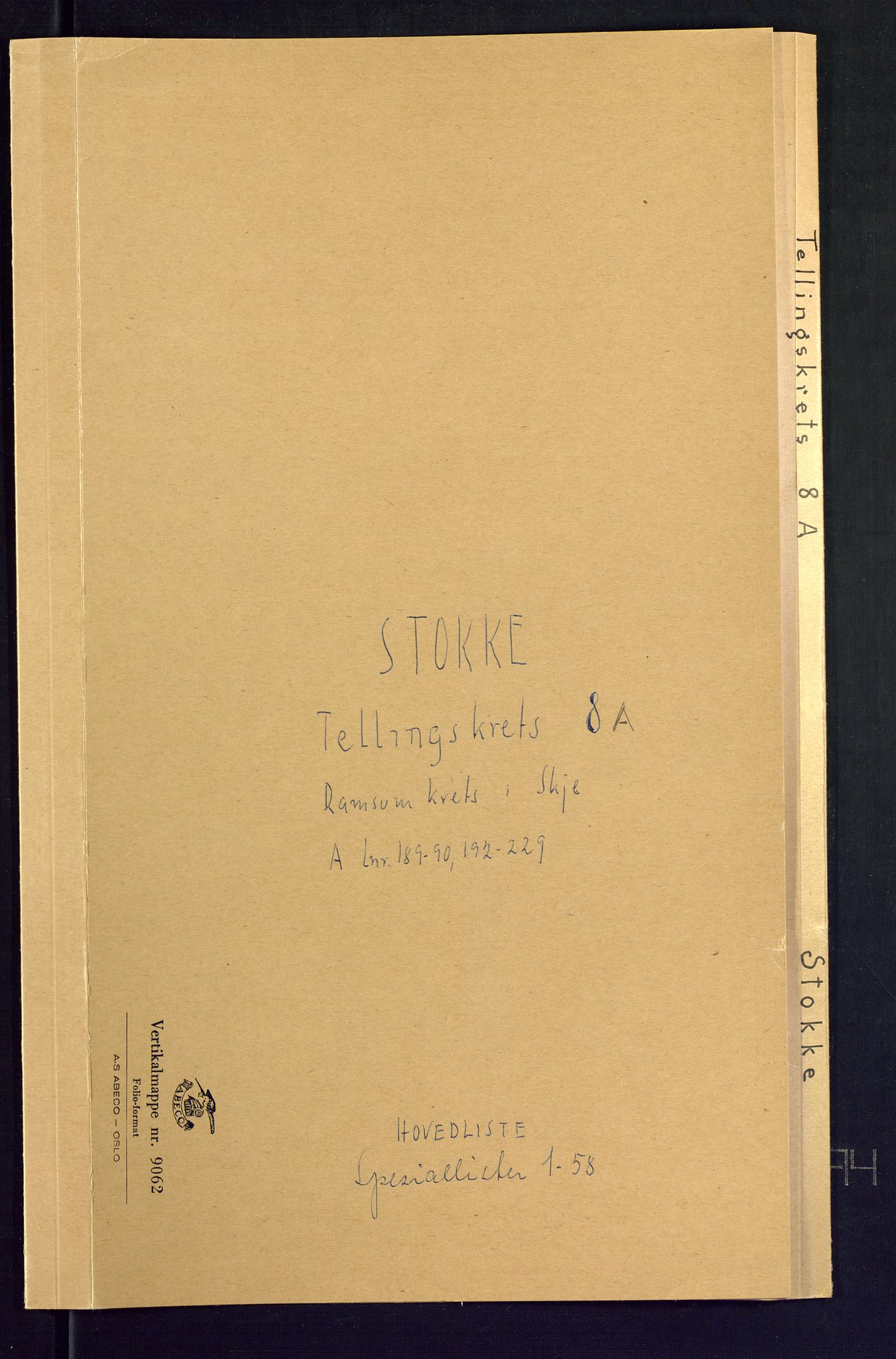 SAKO, Folketelling 1875 for 0720P Stokke prestegjeld, 1875, s. 41