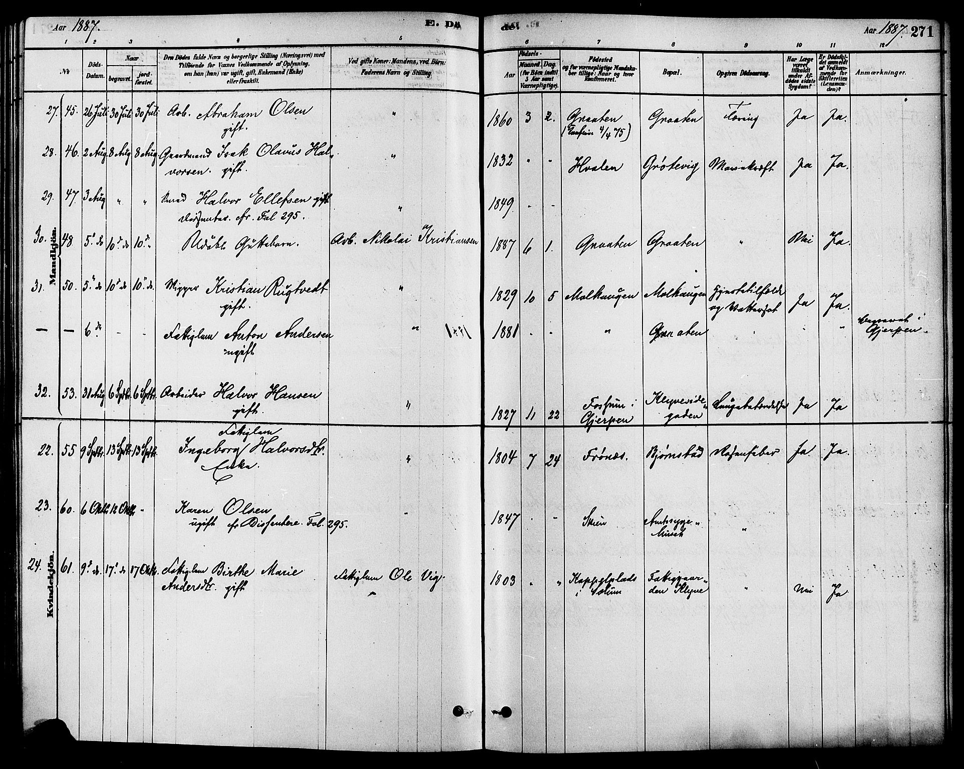 Solum kirkebøker, AV/SAKO-A-306/F/Fa/L0009: Ministerialbok nr. I 9, 1877-1887, s. 271